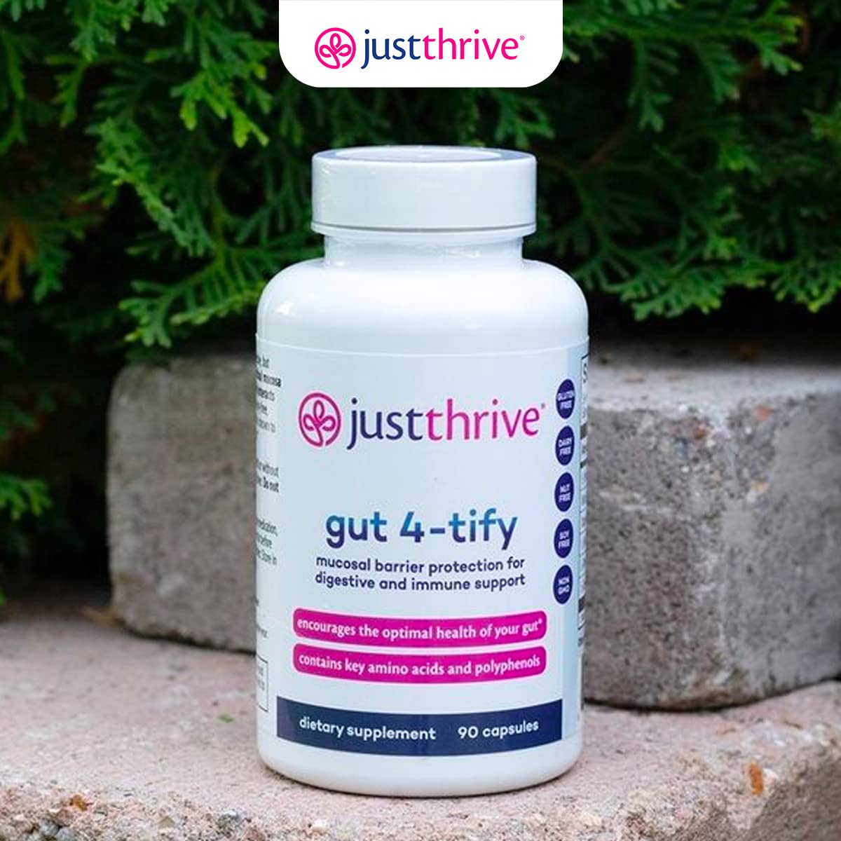 Just Thrive Gut 4-tify - Gut Health Supplements for Women and Men - Anti Bloat, 90 Vegetable Capsules Just Thrive buy supplements canada
