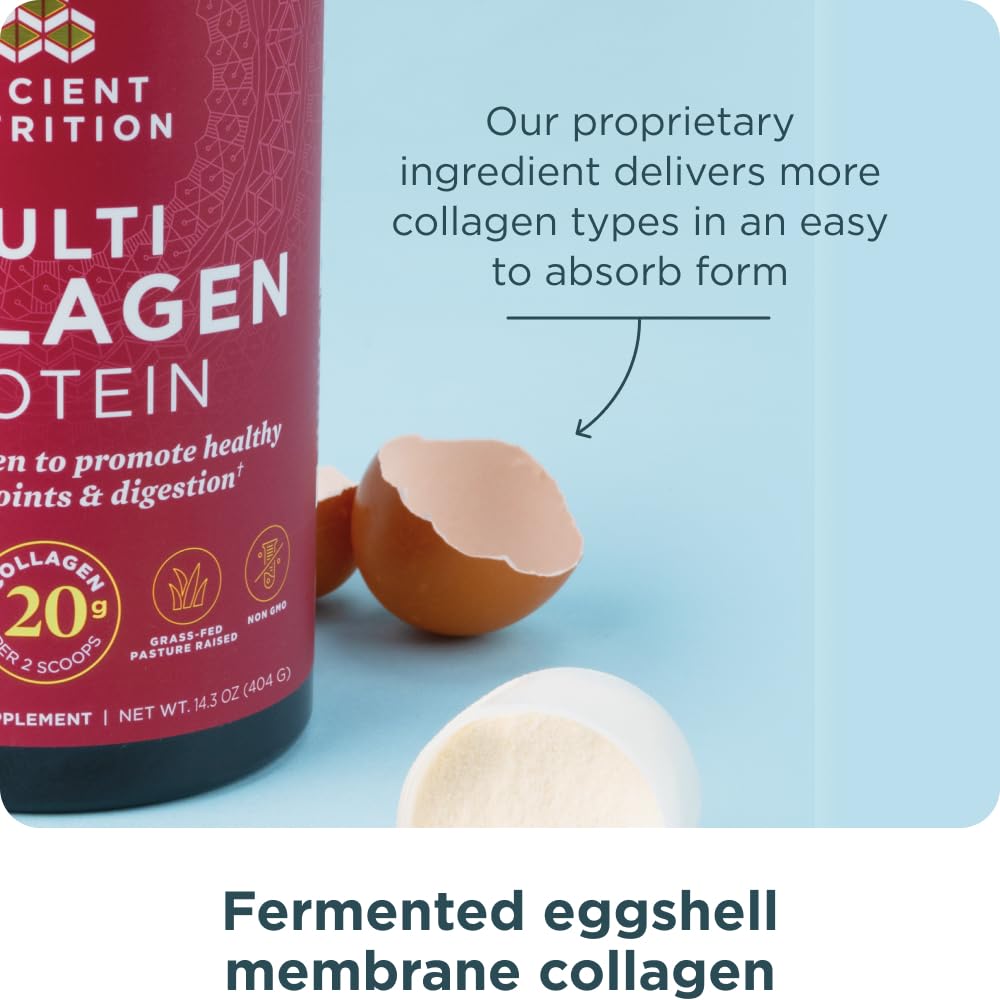 Ancient Nutrition Collagen Powder Protein with Probiotics, Unflavored Multi Collagen Protein with Vitamin C, 45 Servings, Hydrolyzed Collagen Peptides Supports Skin and Nails, Gut Health, 16oz Ancient Nutrition buy supplements canada