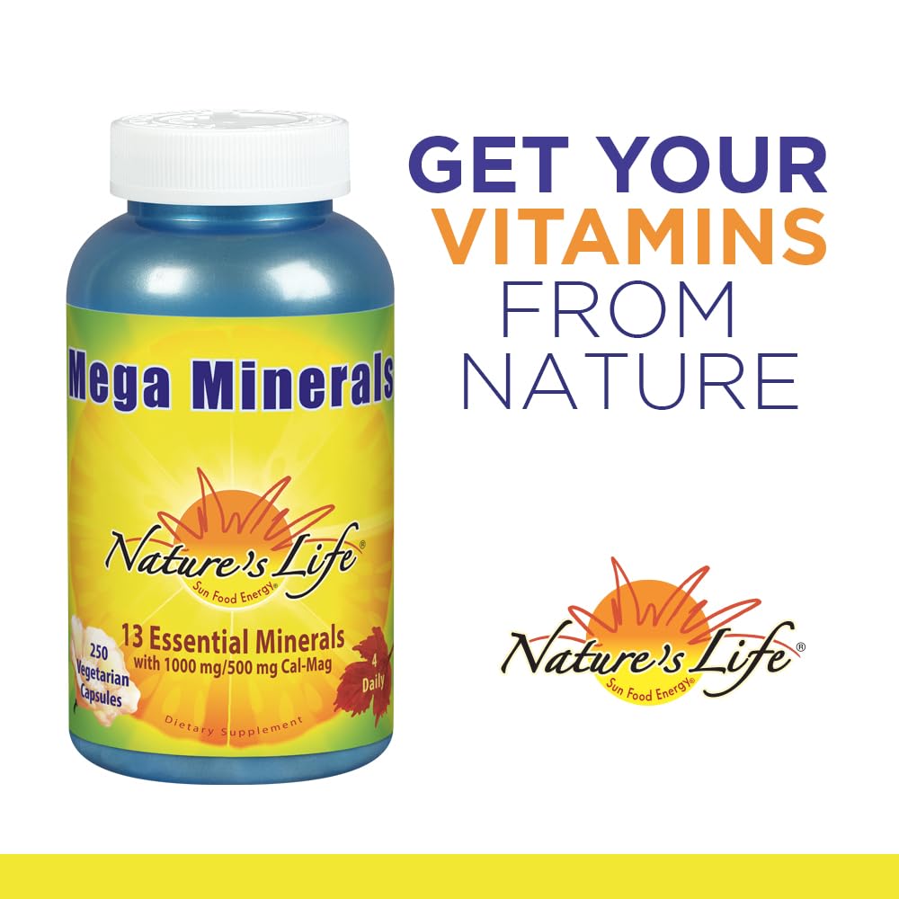 Nature's Life Mega Minerals Complex | Complete Multi Mineral + Vitamin D Supplement | 250 Vegetarian Capsules Nature's Life buy supplements canada