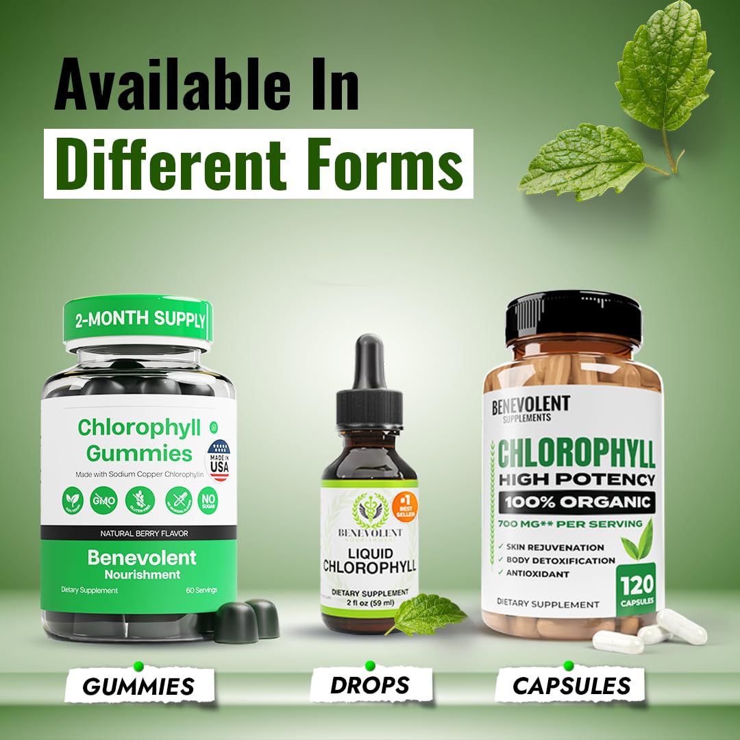 Benevolent Nourishment Chlorophyll Supplement, Detox & Immune Support, Internal Deodorizer, Liquid Drops Benevolent Nourishment buy supplements canada