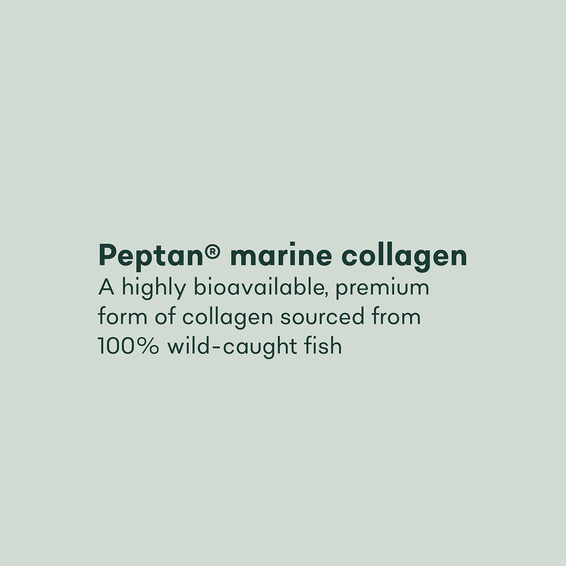 Pure Collagen Tablets - High Strength 1000mg Peptan Marine Collagen Supplements - Collagen Powder Project Nutrition buy supplements canada