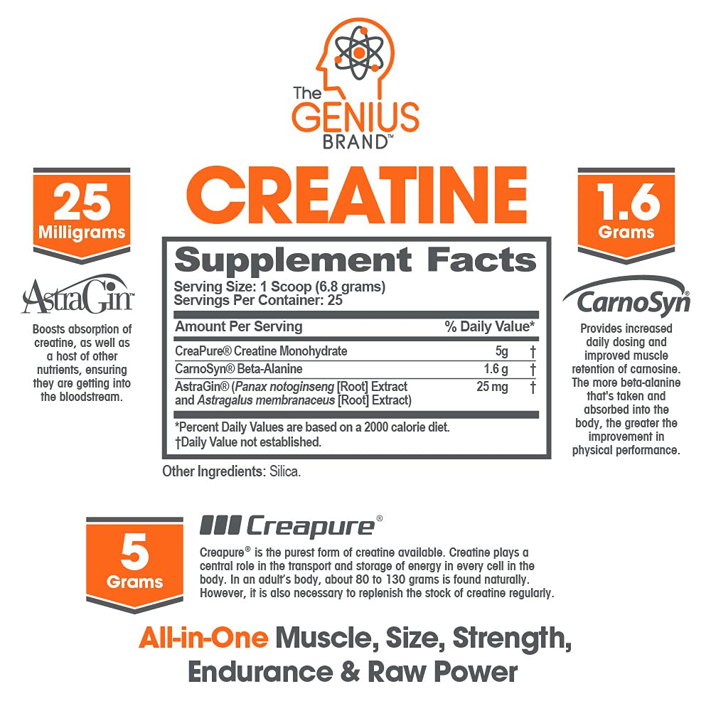 Genius Pre Workout Powder, Blue Razz, and Genius Micronized Creatine Monohydrate The Genius Brand buy supplements canada
