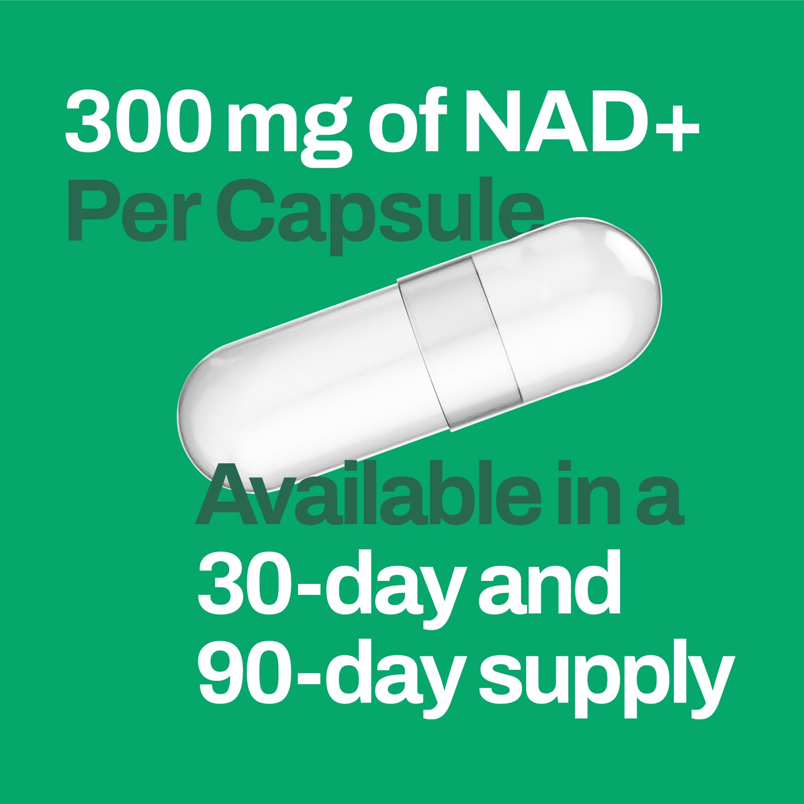 Vitasave NiaMax NAD+ Supplement – 300mg Niacinamide Riboside per Capsule – High-Potency NAD+ Precursor for Energy, Healthy Aging & Metabolic Function – Vegan, Non-GMO, Gluten-Free (30 Capsules) Vitasave buy supplements canada
