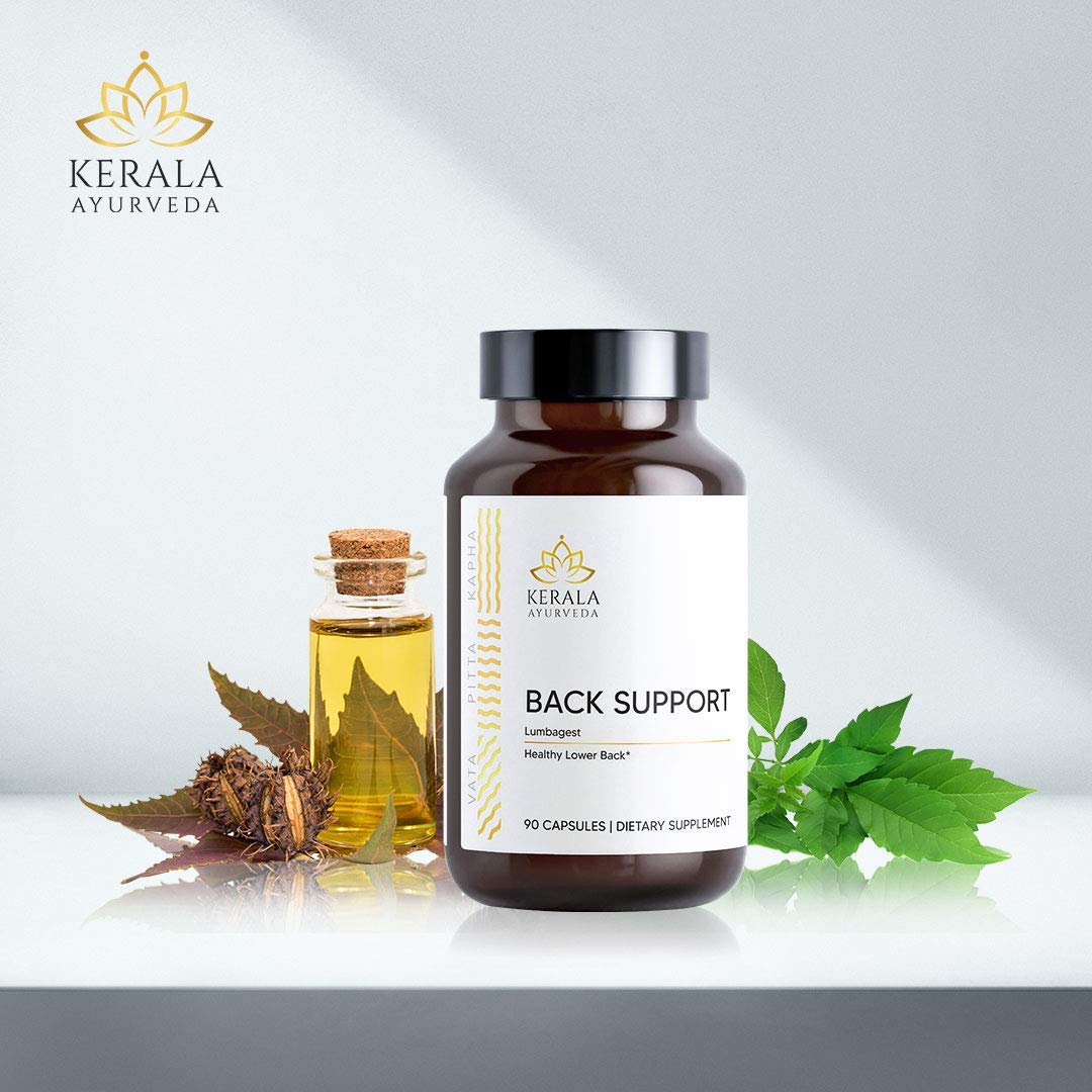 Kerala Ayurveda Back Support Herbal Capsules - Eases Occasional Discomfort of Lower Back & Supports Normal Movement of Spine, 90 Count Kerala Ayurveda buy supplements canada