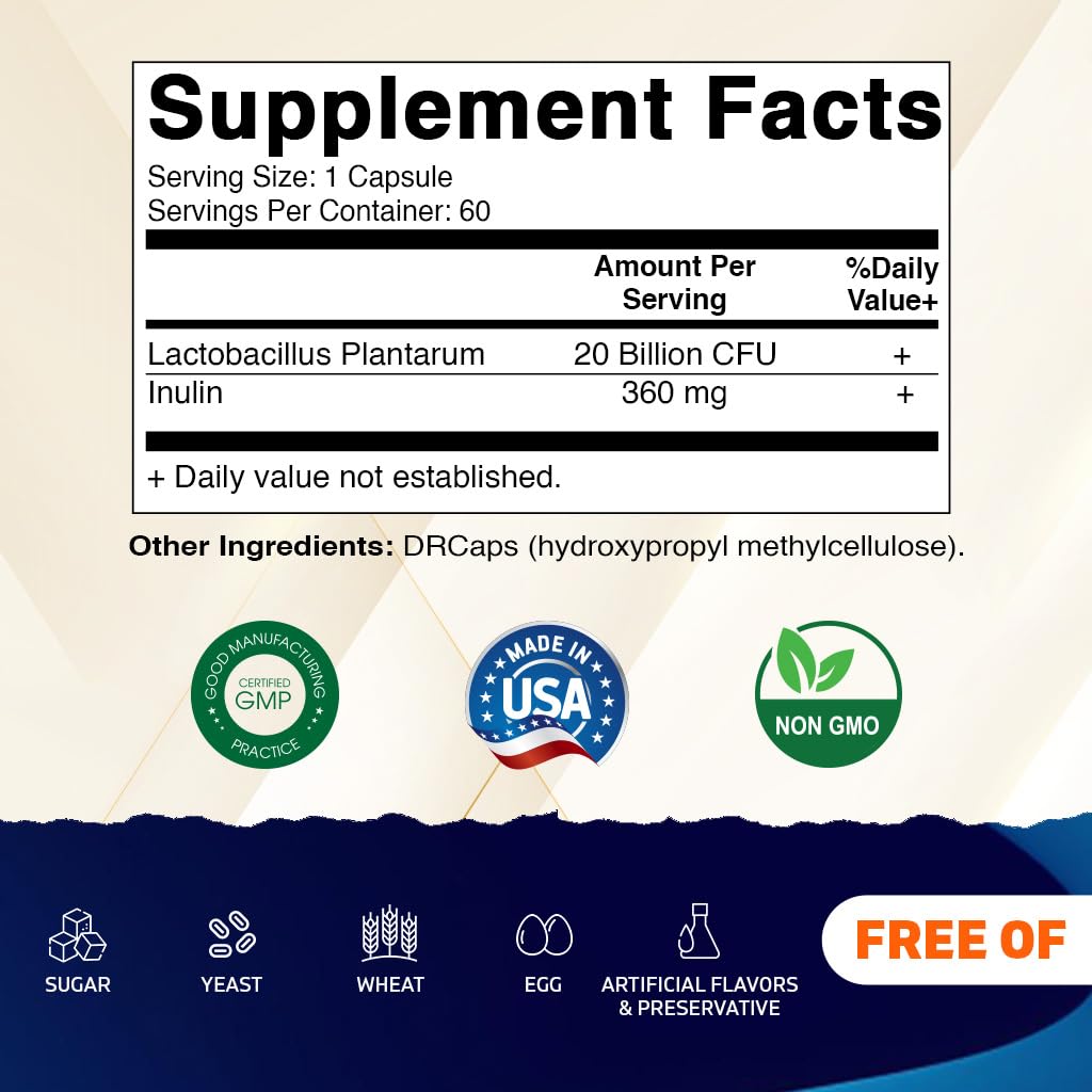 Vitamatic Lactobacillus Plantarum - 20 Billion per DR Capsule - 60 Count - Digestive Support - Made with Prebiotic Inulin Fiber Vitamatic buy supplements canada