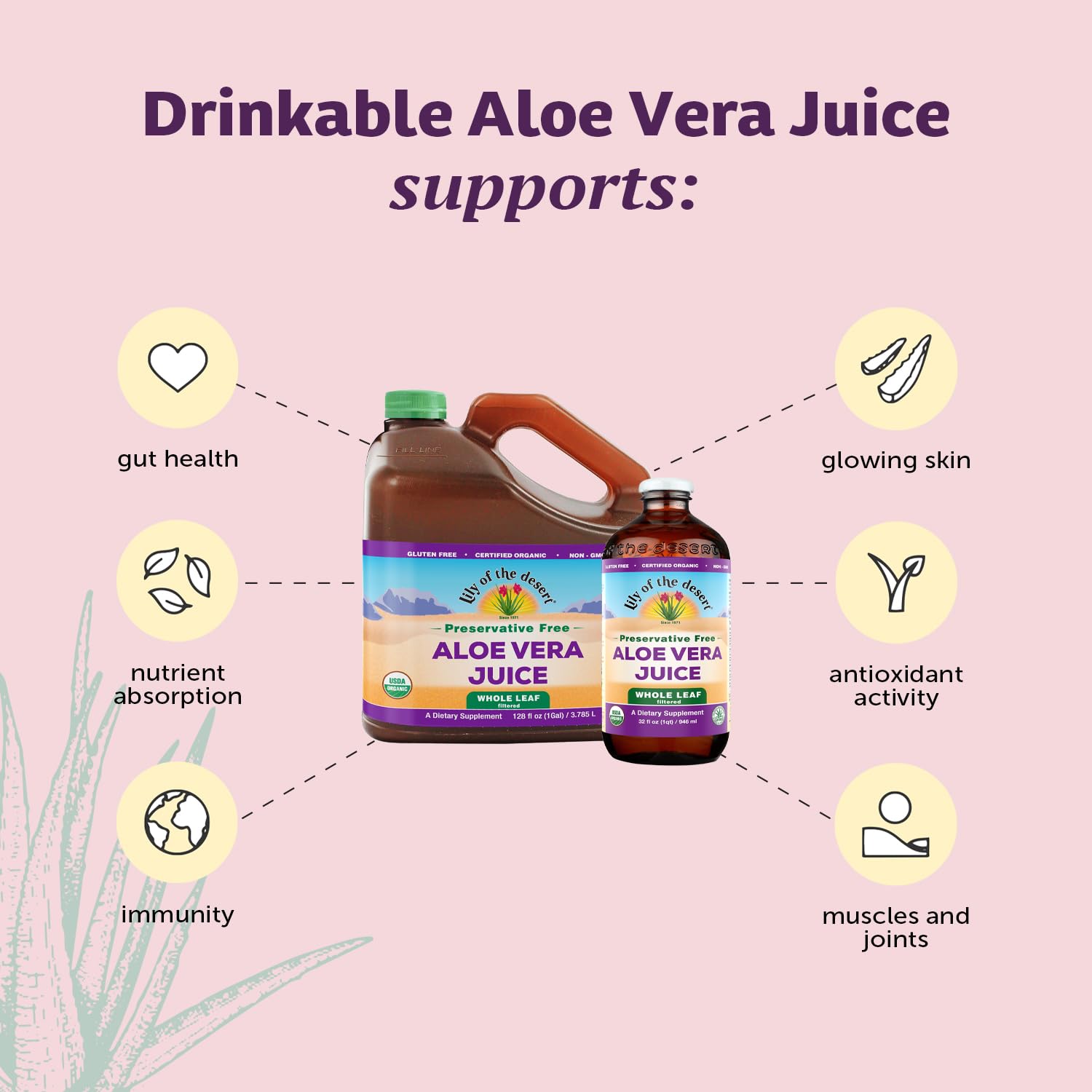 Lily of the Desert Aloe Vera Juice, Whole Leaf Filtered, Organic & Preservative Free – Natural Vitamins, Digestive Enzymes for Gut Health, Lily Of The Desert buy supplements canada