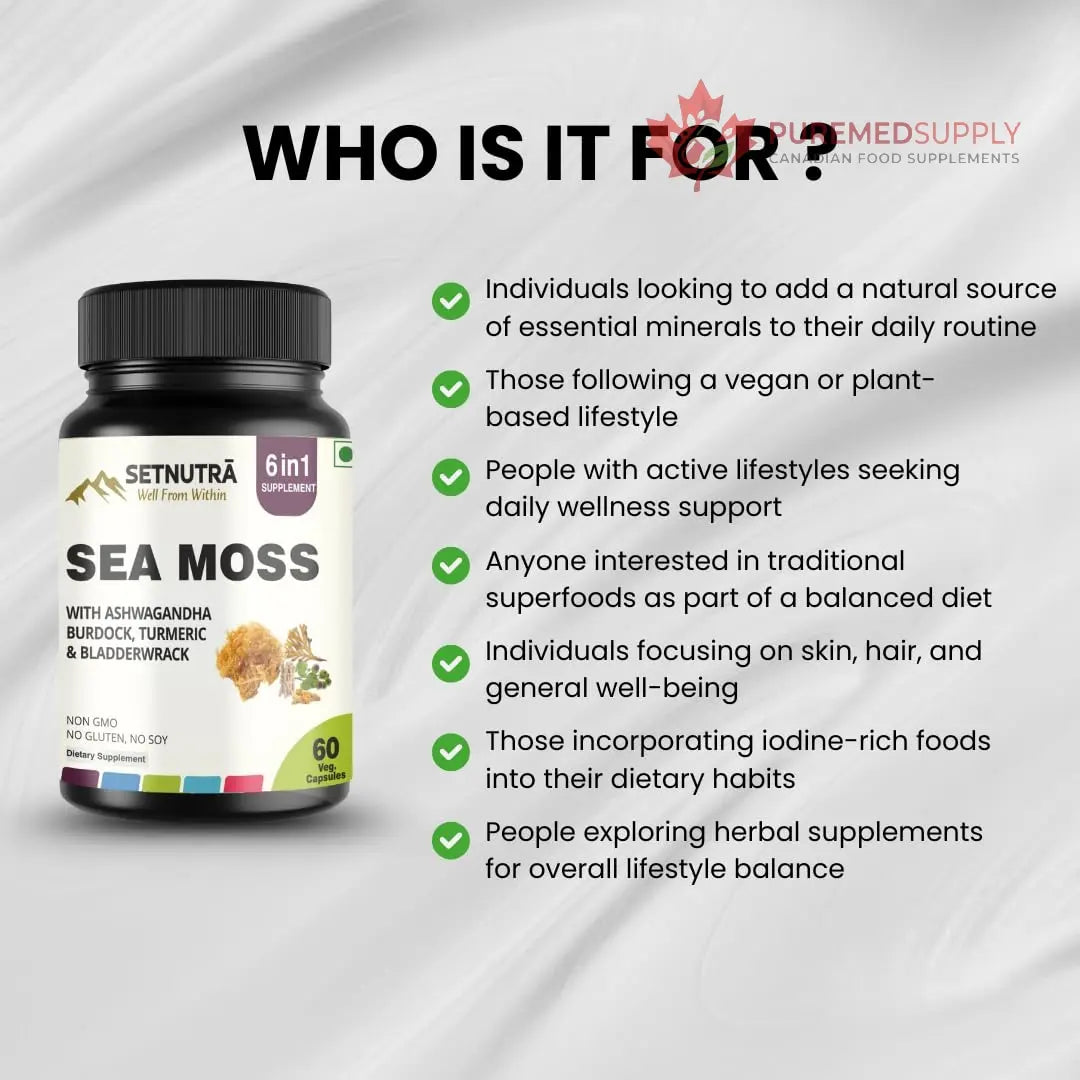 SETNUTRA Well From Within Sea Moss 6 in 1 Super Blend Ashwagandha Burdock Turmeric & Bladderwrack Immunity & Detox Support 60 Veg Capsules Non GMO No Gluten SETNUTRA Well From Within buy supplements canada
