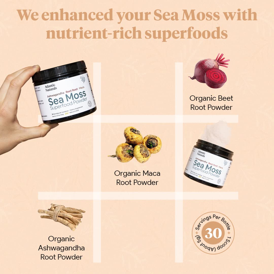 Organic Sea Moss Superfood Powder with Ashwagandha, Beet Root, and Maca Atlantic Naturals buy supplements canada