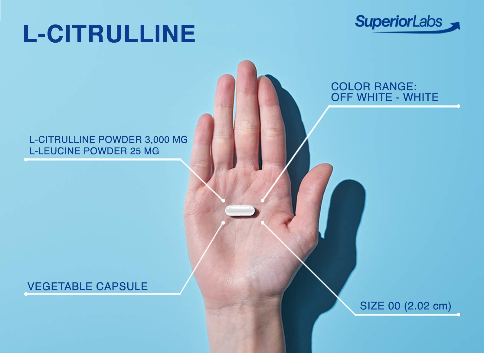 Superior Labs – Pure L-Citrulline – Free Form – Optimal 3,000mg Dosage – 150 Vegetable Superior Labs buy supplements canada