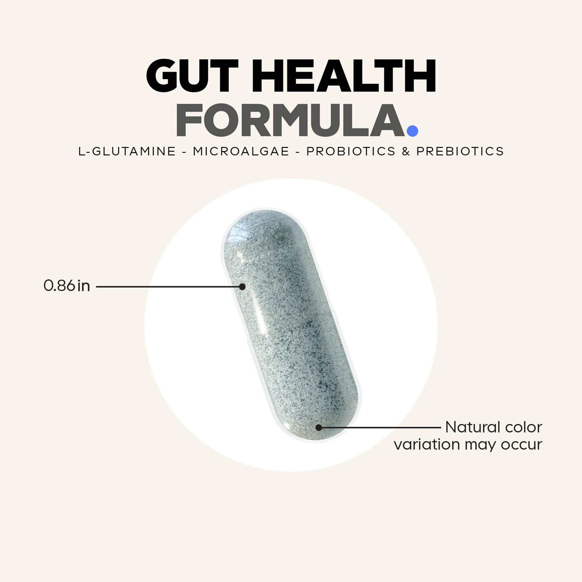Codeage Gut Health Supplements Vegan Formula - L Glutamine, Zinc, Turkey Tail Mushroom Powder, Tonic Mushroom, Maitake, Micro Algae, Mineral, Codeage buy supplements canada
