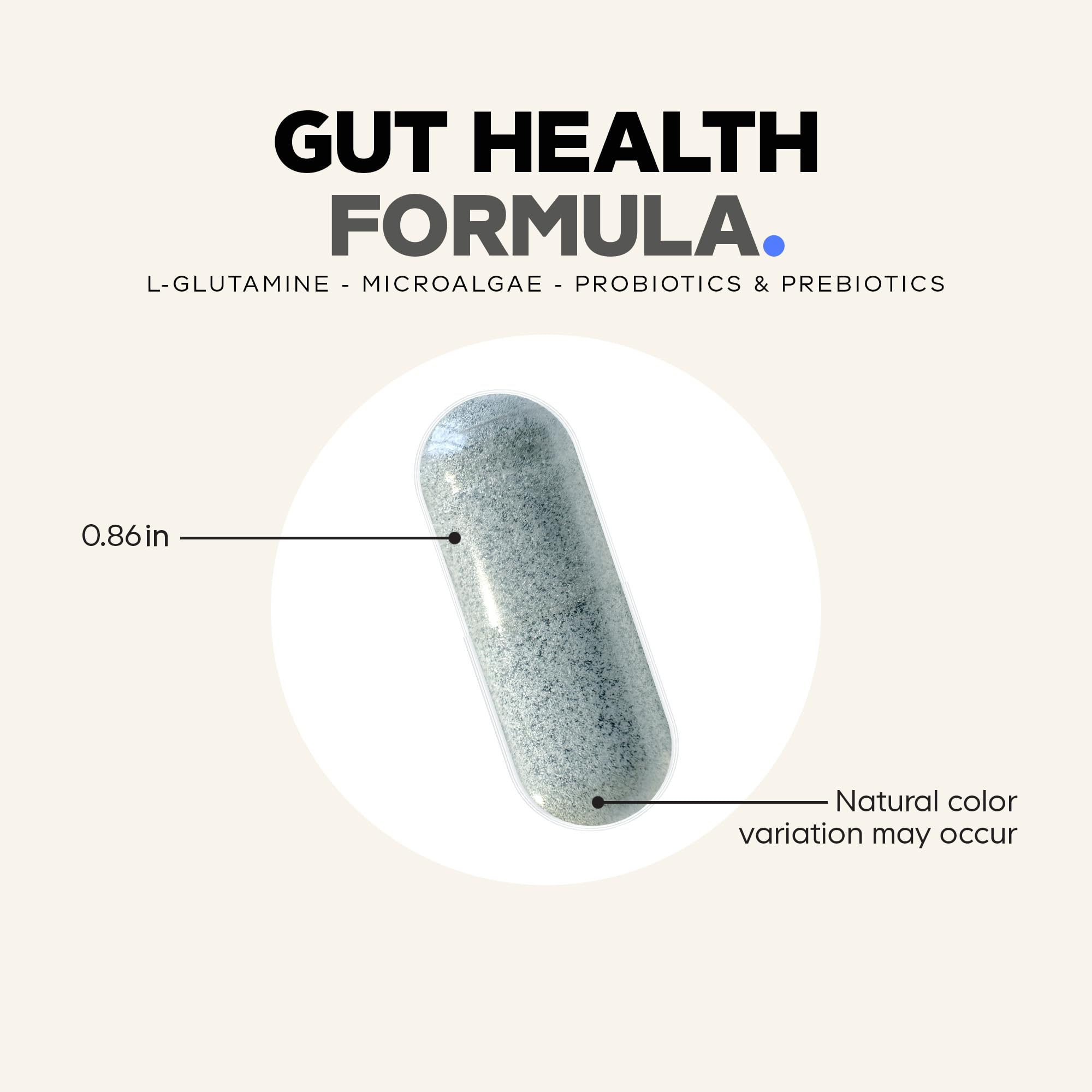 Codeage Gut Health Supplements Vegan Formula - L Glutamine, Zinc, Turkey Tail Mushroom Powder, Tonic Mushroom, Maitake, Micro Algae, Mineral, Codeage buy supplements canada