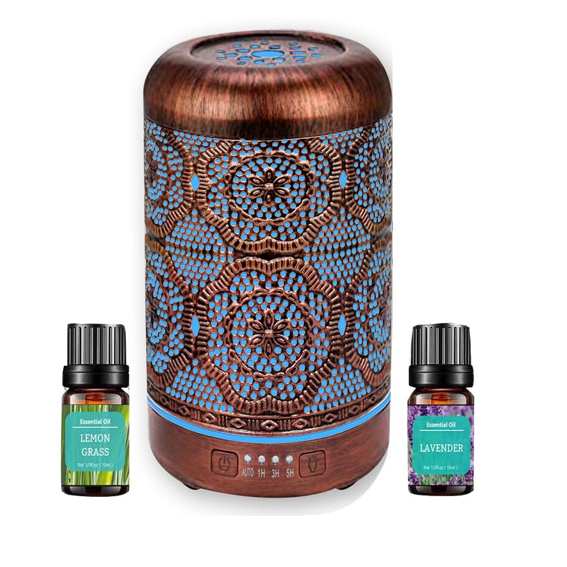 Essential Oil Diffuser, Upgraded Metal Diffusers with Lavender Lemon Essential Oils, 250ml BAIESHIJI buy supplements canada