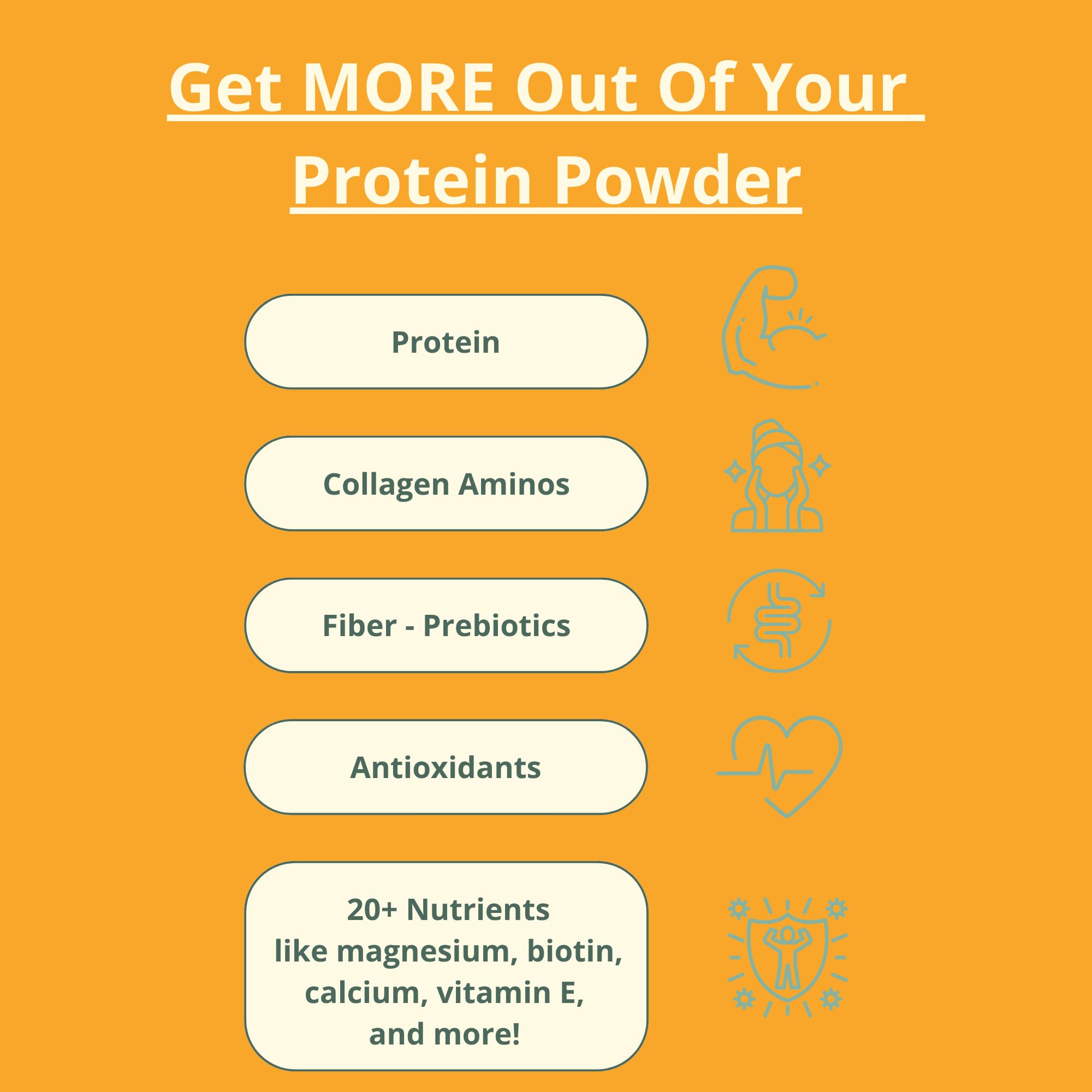 wellious Almond Protein Powder (Unflavored, Unsweetened) - 18 Grams of Pure Healthiest Vegan Protein for Women & Men | Soy-Free & Gut Friendly Protein wellious buy supplements canada