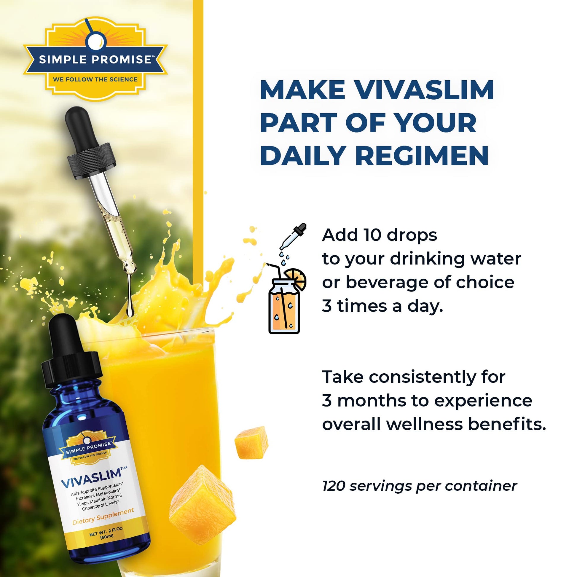 Simple Promise - VivaSlim - Natural Liquid Drops with African Mango, 2 fl oz Simple Promise buy supplements canada