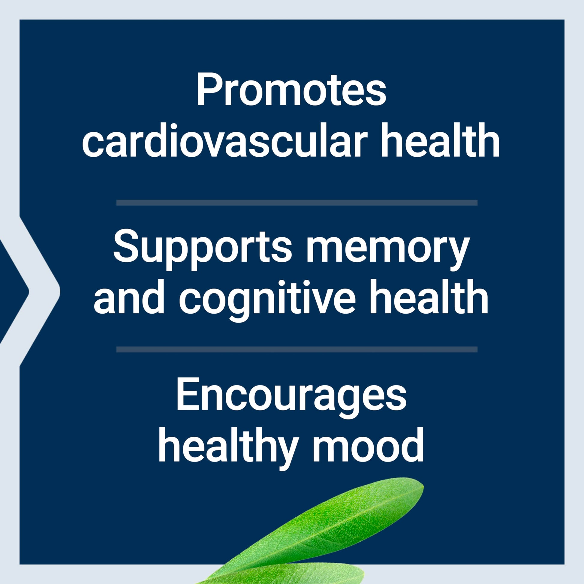 Life Extension Healthy Aging Powder, Healthy Aging Supplement, Heart Health, Brain Health, Exercise Performance, Taurine, Lithium, spermidine, Powder Blend, Non-GMO, Vegetarian, 30 Servings Life Extension buy supplements canada