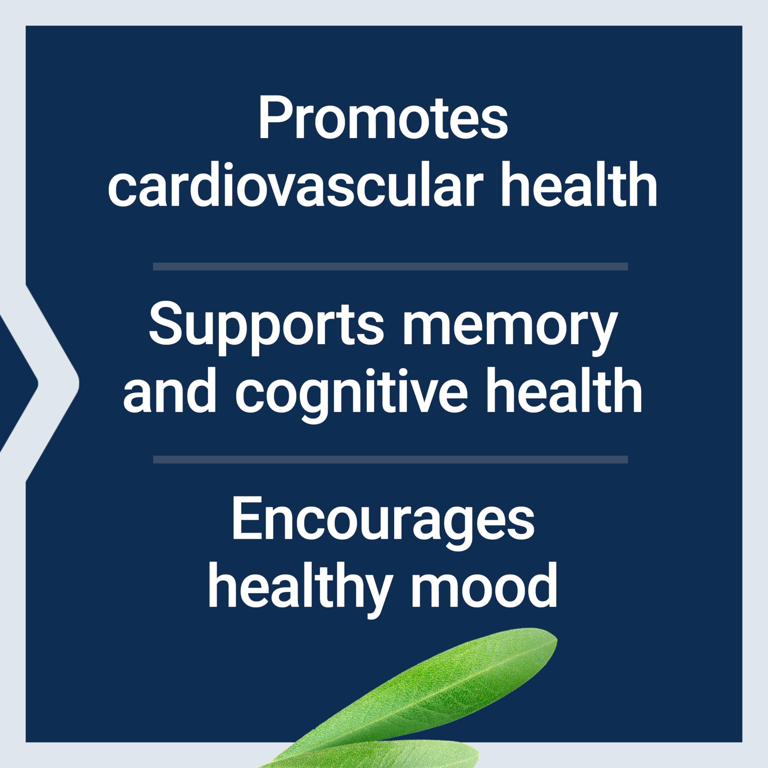 Life Extension Healthy Aging Powder, Healthy Aging Supplement, Heart Health, Brain Health, Exercise Performance, Taurine, Lithium, spermidine, Powder Blend, Non-GMO, Vegetarian, 30 Servings Life Extension buy supplements canada