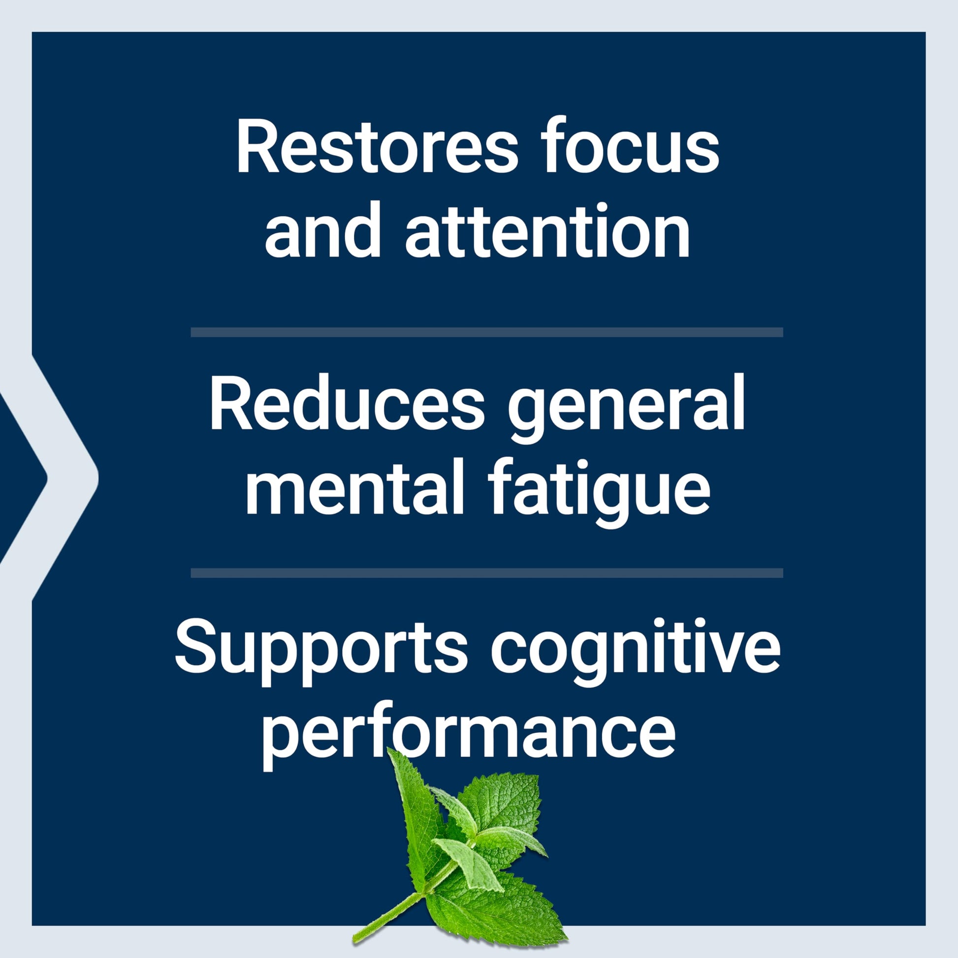 Life Extension Brain Fog Relief, Mango Leaf Extract, standardized Peppermint Oil, nootropic Brain Supplement for Clarity and Focus, Fast-Acting, Caffeine-Free, Gluten Free, Non-GMO, 30 softgels Life Extension buy supplements canada
