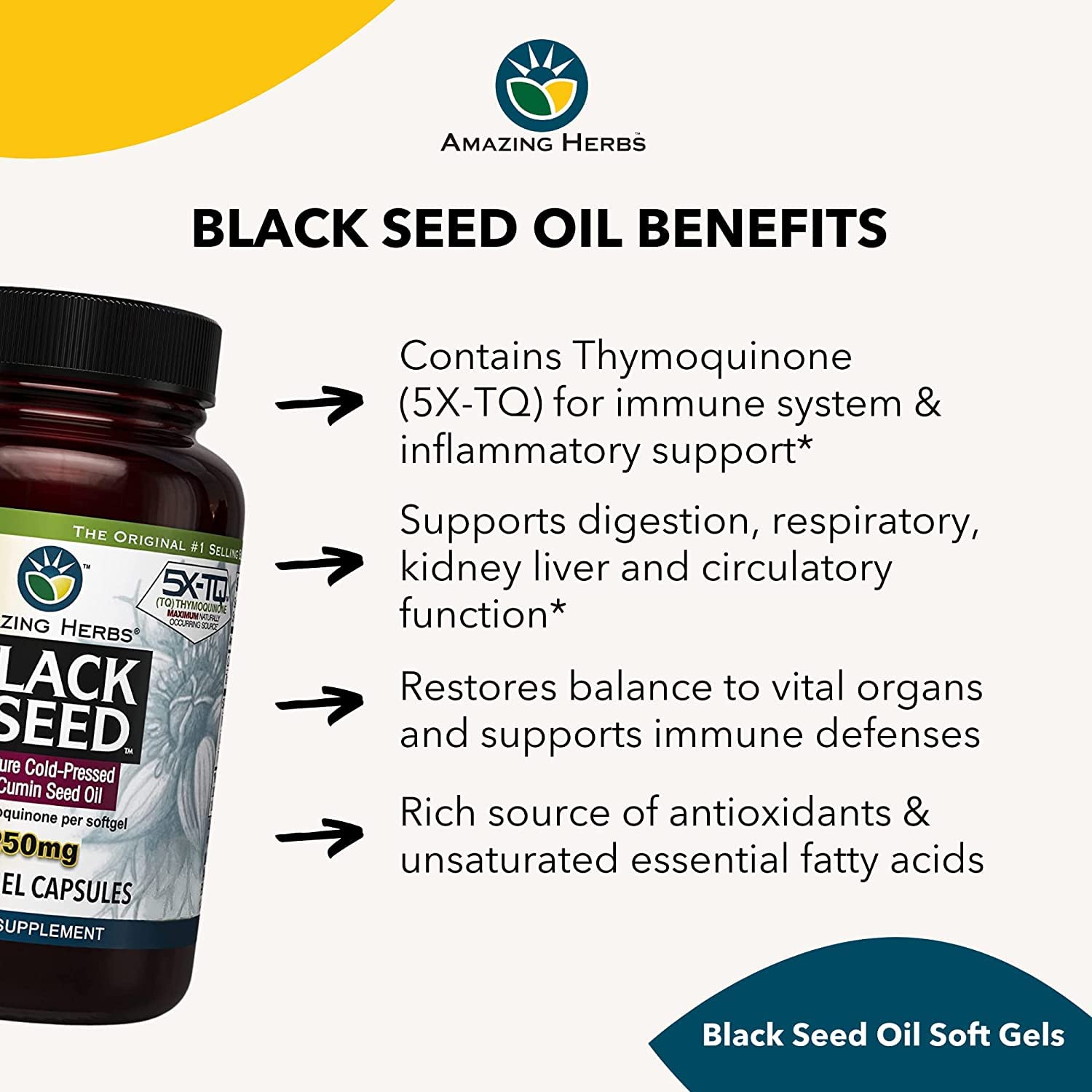 Amazing Herbs Premium Black Seed Oil Capsules - High Potency, Cold Pressed Nigella Amazing Herbs buy supplements canada