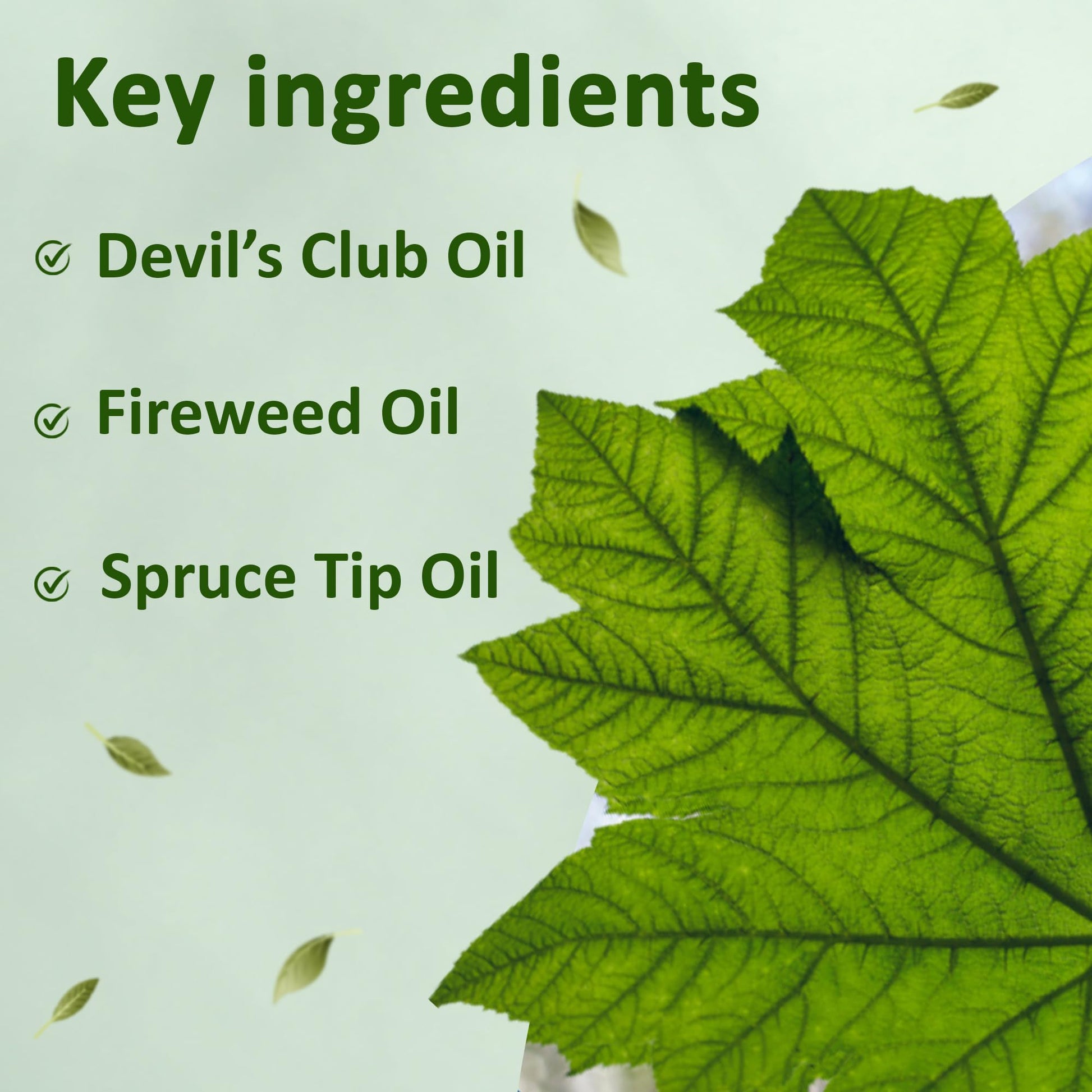 Snowy Summit Alaska Rainforest Salve - Herbal Salve for Dry Skin & Joint Relief - Natural Super Salve for Soothing Skin with Gentle Aroma - Body & Hand Salve - Muscle Rub with Alaskan Devil’s Club Oil Snowy Summit buy supplements canada