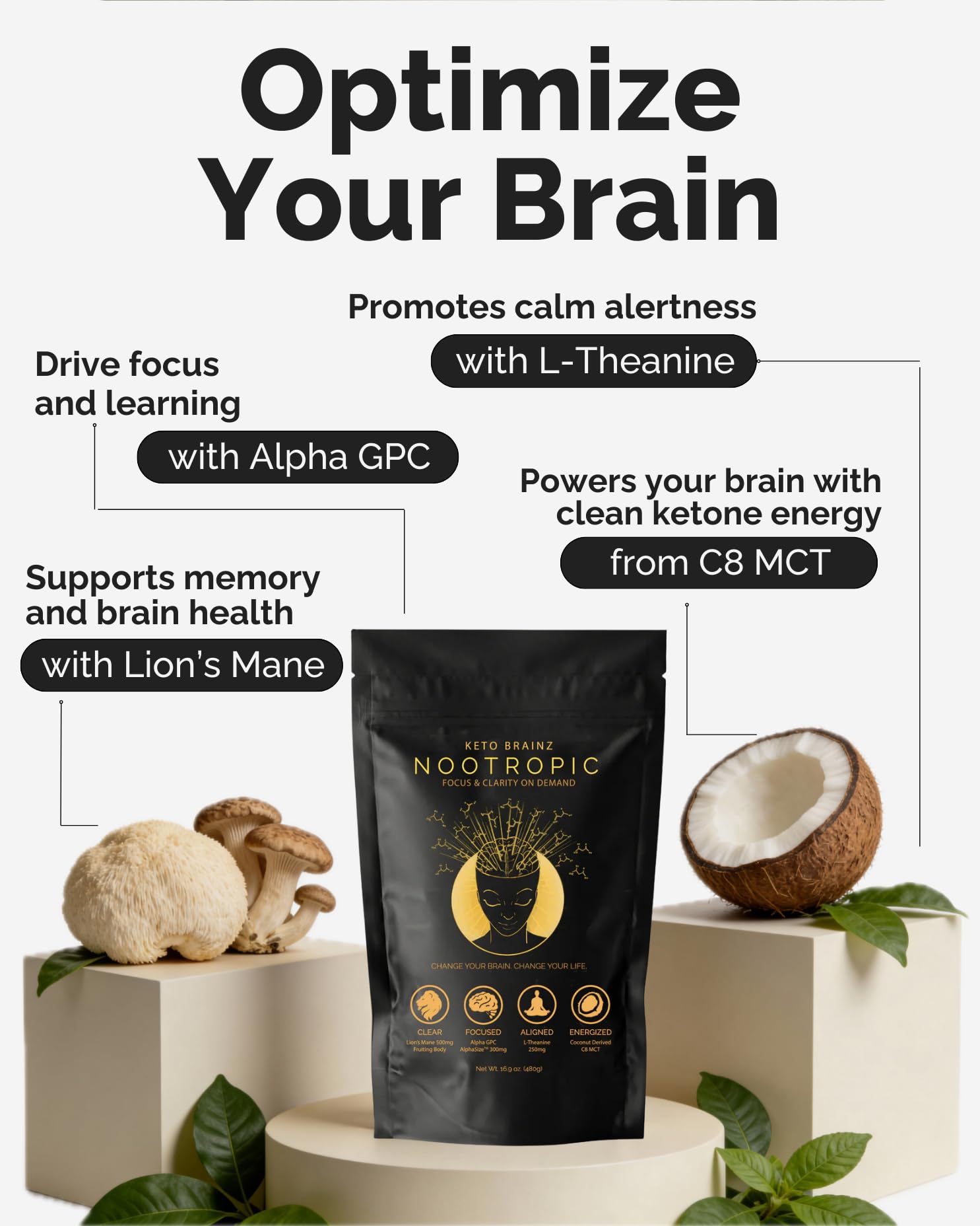 Keto Brainz C8MCT Based Nootropic - with 500mg Lion's Mane Mushroom, AlphaGPC & L-Theanine This is The Ultimate Easy to use nootropic Stack & Makes Delicious Mushroom Coffee! 16oz. 30 Servings Keto Brainz buy supplements canada