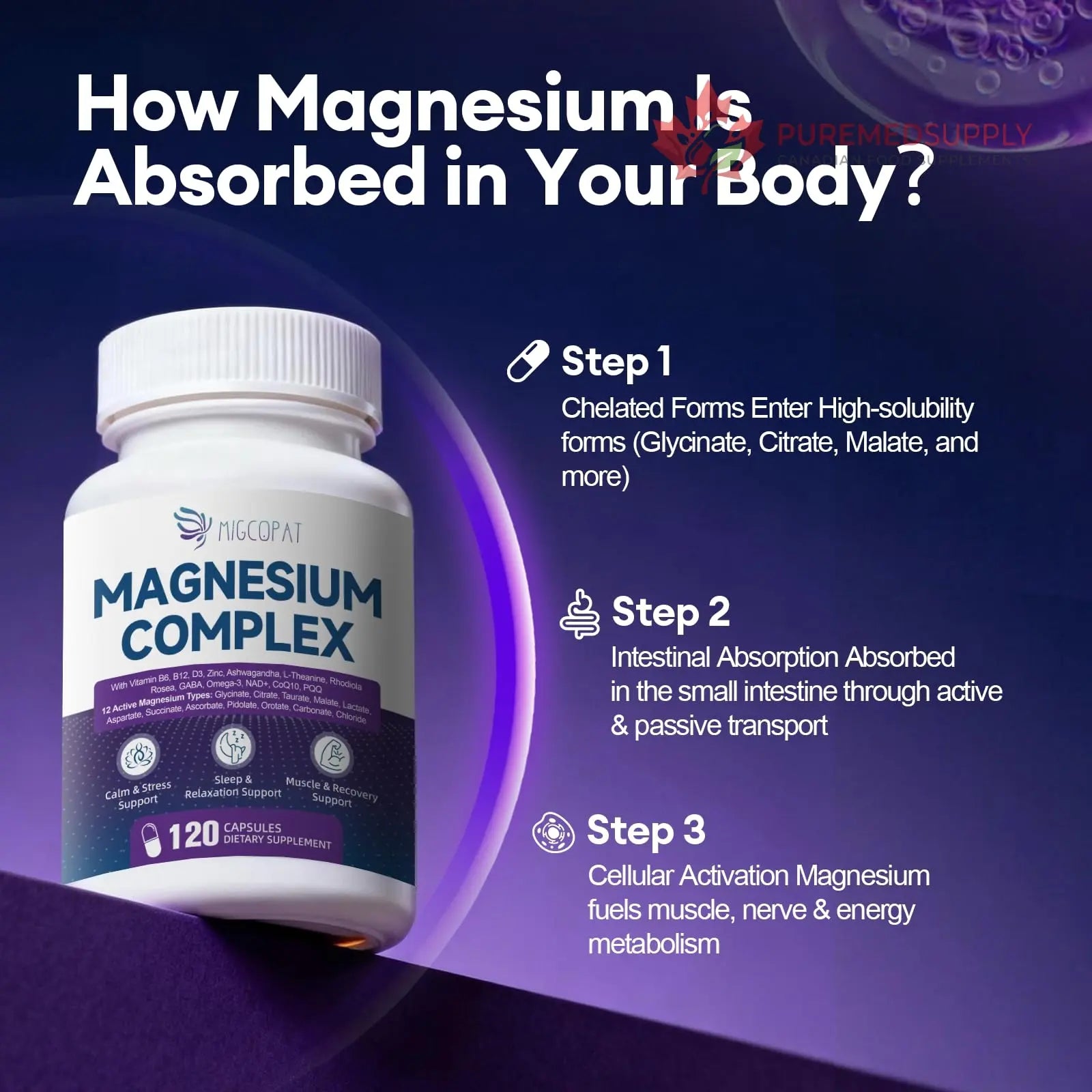 Migcopat Magnesium Complex w/Magnesium Glycinate, Malate, Citrate | 24-in-1 Magnesium Supplement w/Ashwagandha, L-Theanine & NAD+ | Supports Calm, Energy, Muscle & Sleep | Non-GMO, 120 Vegan Caps Migcopat buy supplements canada