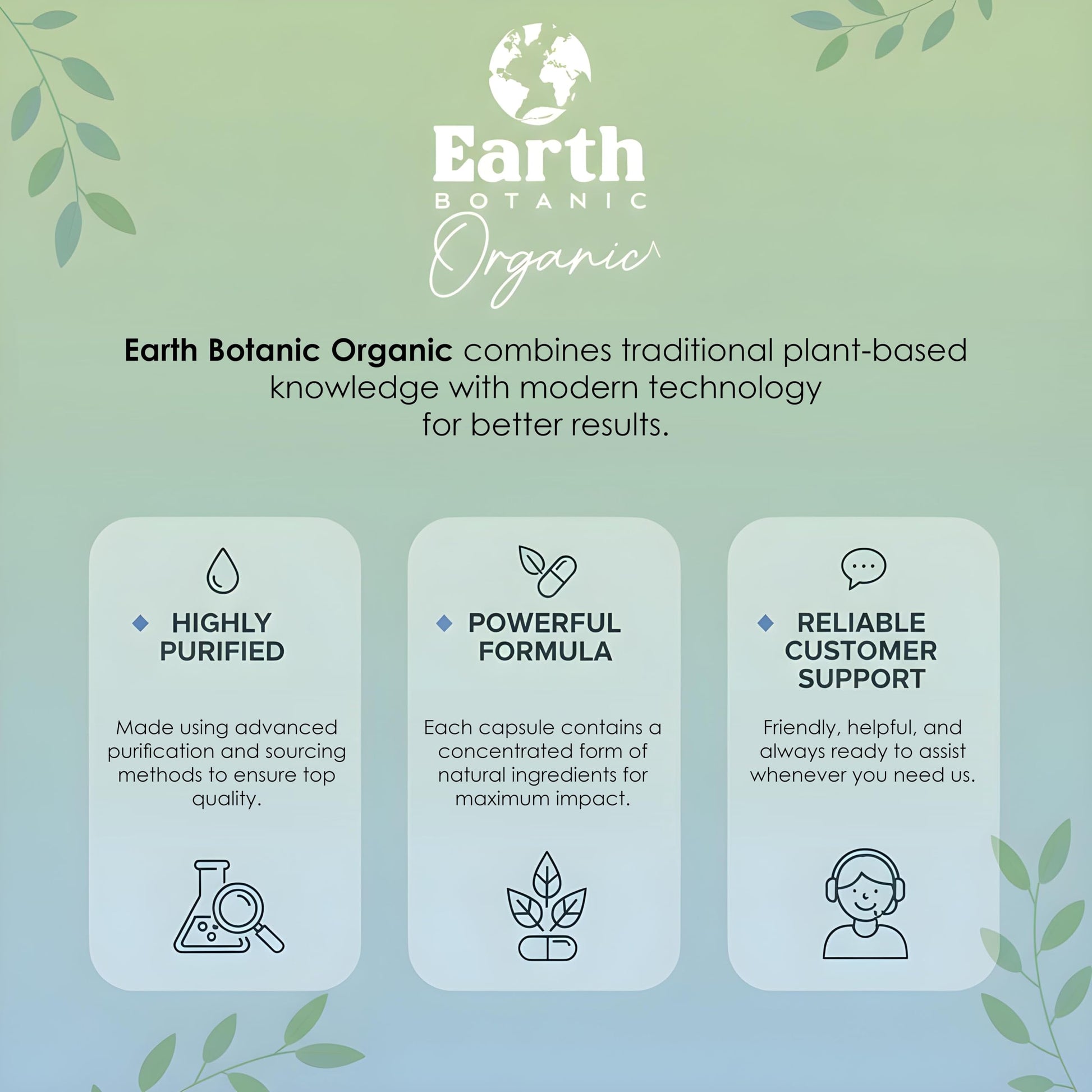 Earth BOTANIC Organic Apricot Extract, 1000 mg 120 Veggie Capsules (Vegan, Non-GMO) Herbal Supplements Earth BOTANIC Organic buy supplements canada