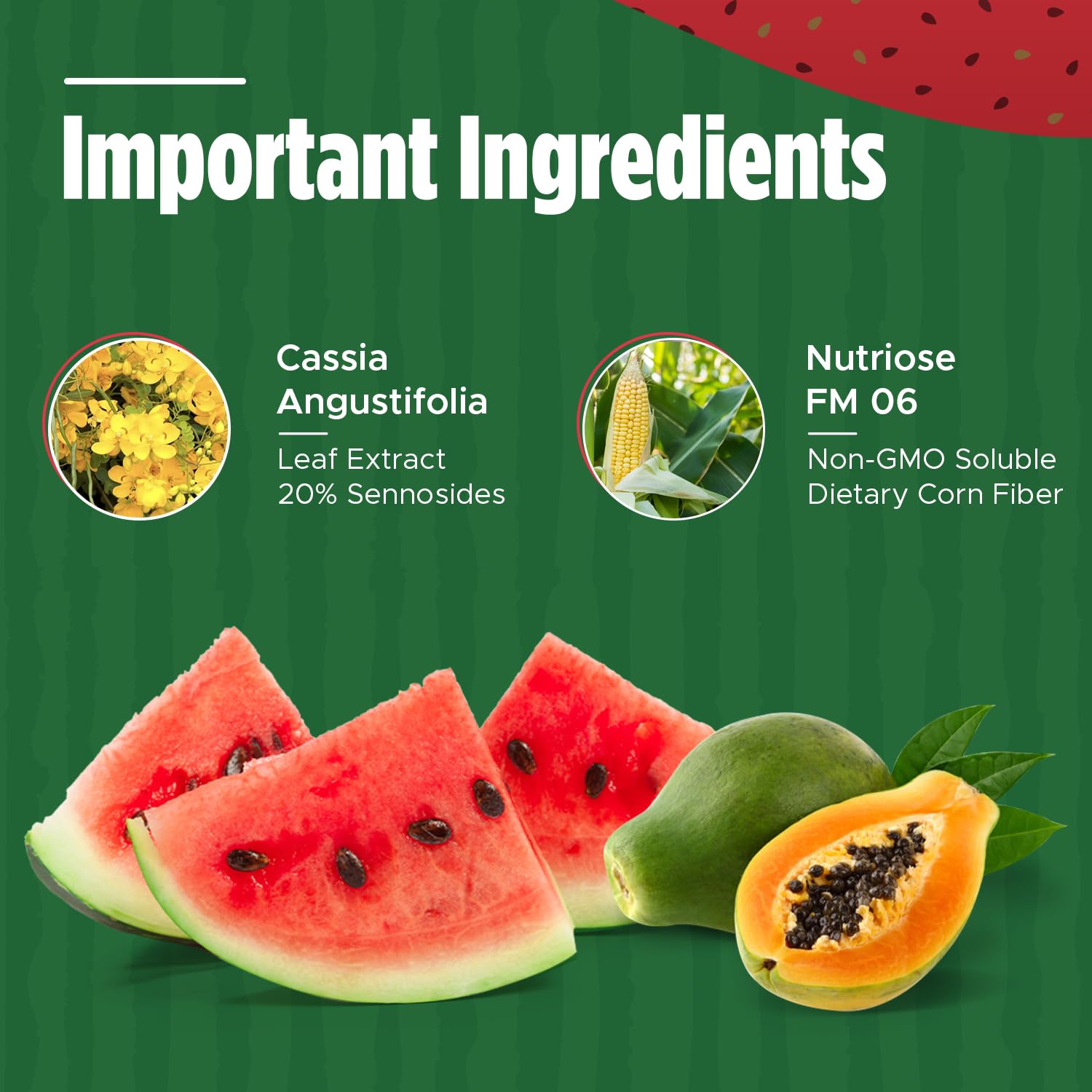 Iaso Instant Tea Watermelon Flavor - 4 grams (25 Sachets) Total Life Changes buy supplements canada