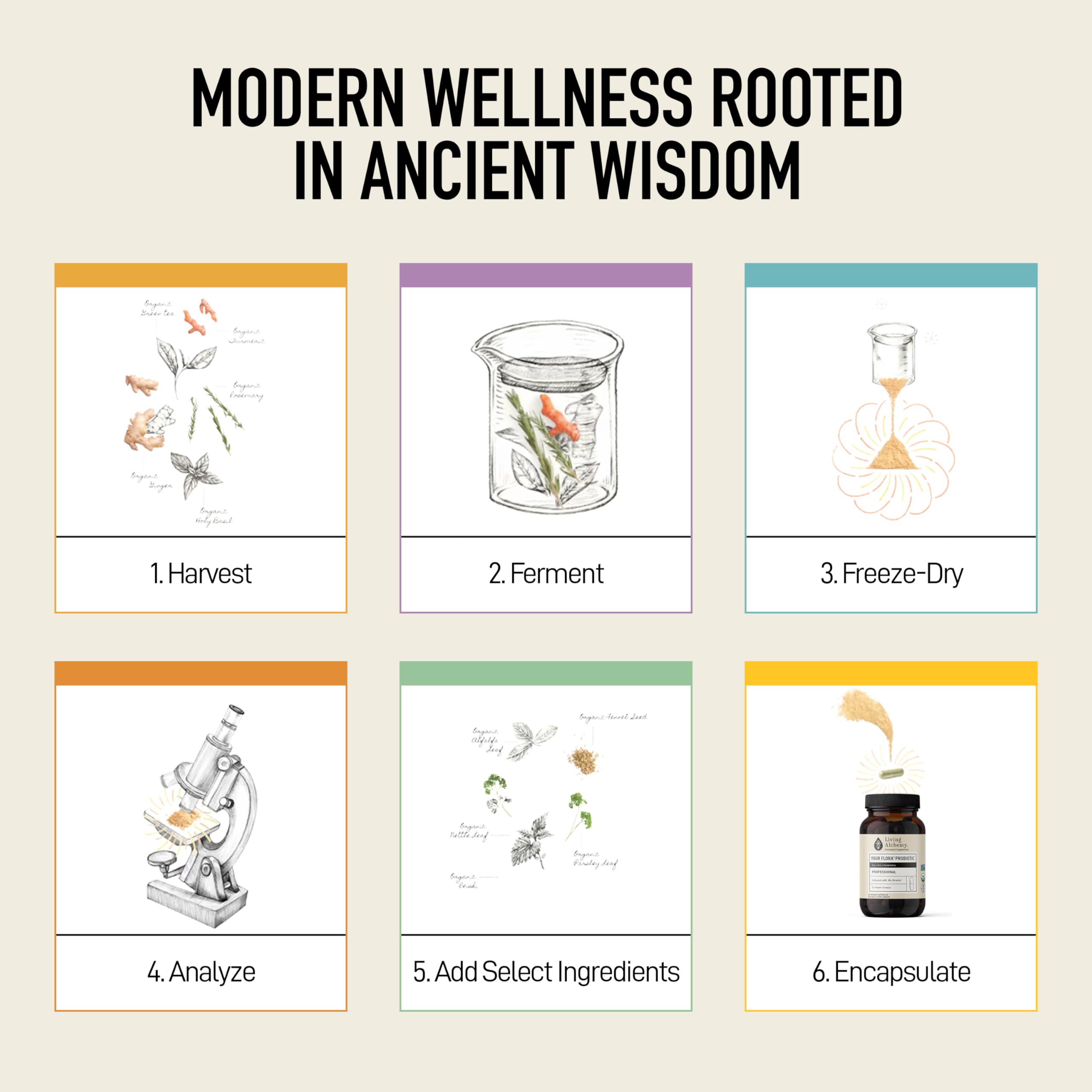 Living Alchemy Gut Health Supplements for Men & Women - Your Flora Probiotic Professional Digestion Supplement with Fermented Soybean, Prebiotics, Living Alchemy buy supplements canada