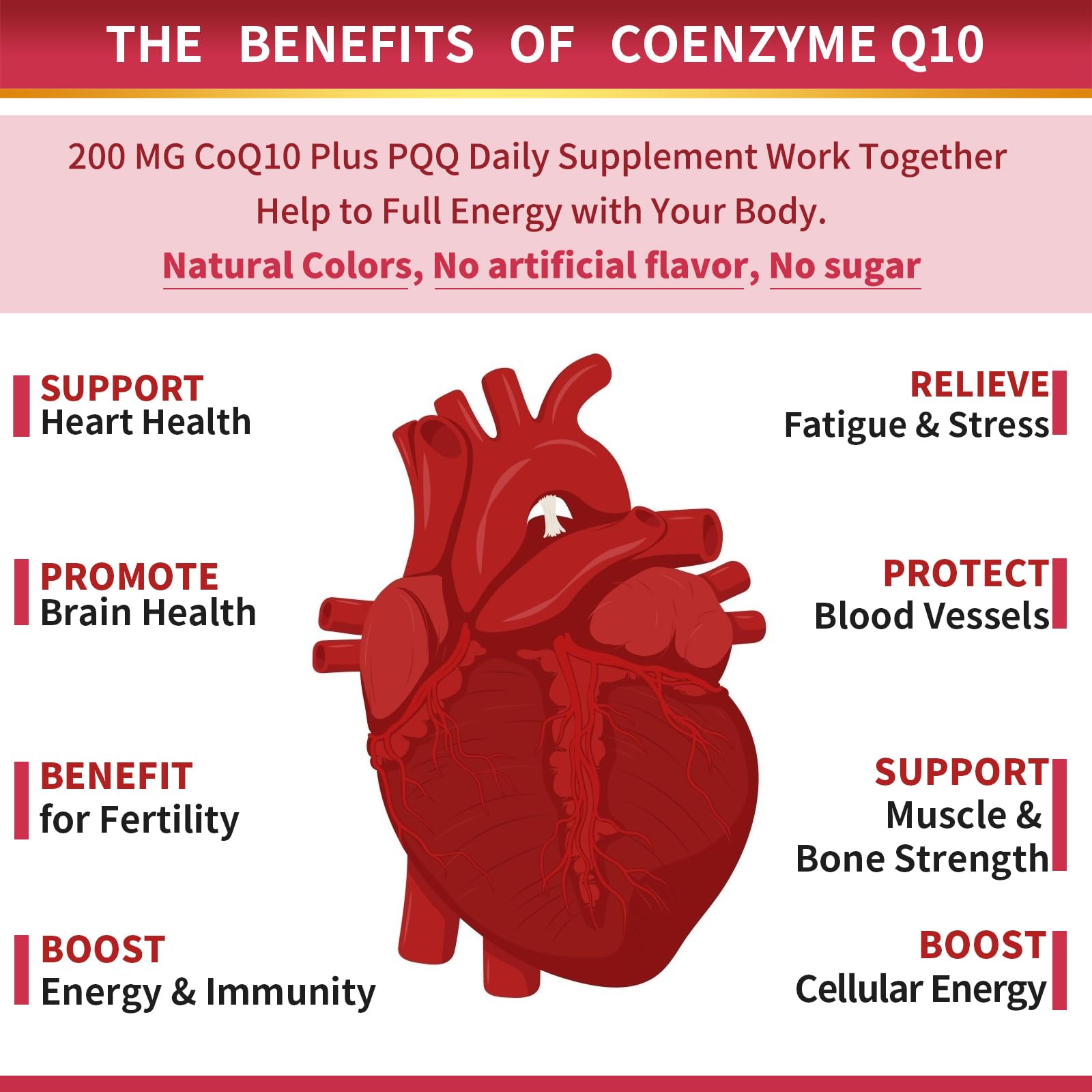 ZEBORA CoQ10-200mg-Softgels with PQQ, BioPerine & Omega-3, 120 Servings Coenzyme Q10(Ubiquinone) Supplement for High-Absorption, Powerful-Antioxidant ZEBORA buy supplements canada