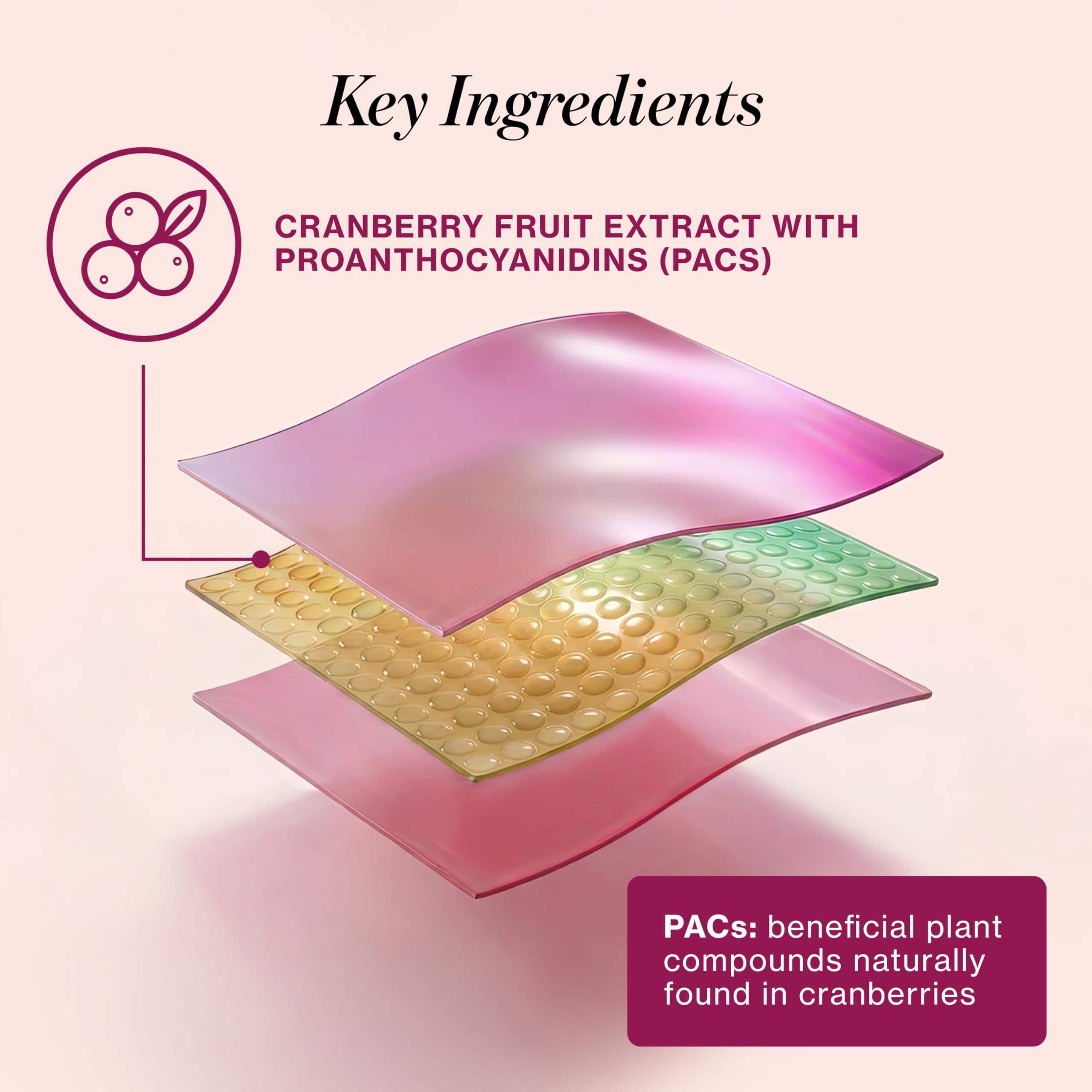 Love Wellness Urinary Tract* Quick Melt Strips - Fast-Dissolving UT Support with 36 mg PACs from Cranberry Fruit Extract - Promotes Urinary Health* - No Water Needed - Vegan and Sugar Free - 32 Strips Love Wellness buy supplements canada