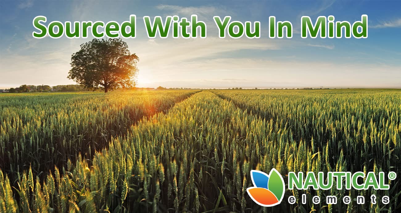 Wheatgrass Powder - USDA Certified Organic Wheat Grass Powder That Is Rich In Essential Amino Acids, Chlorophyll, Antioxidants, Fatty Acids, Minerals & Vitamins - US Grown - Vegan & Non-GMO Superfoods Nautical Elements buy supplements canada