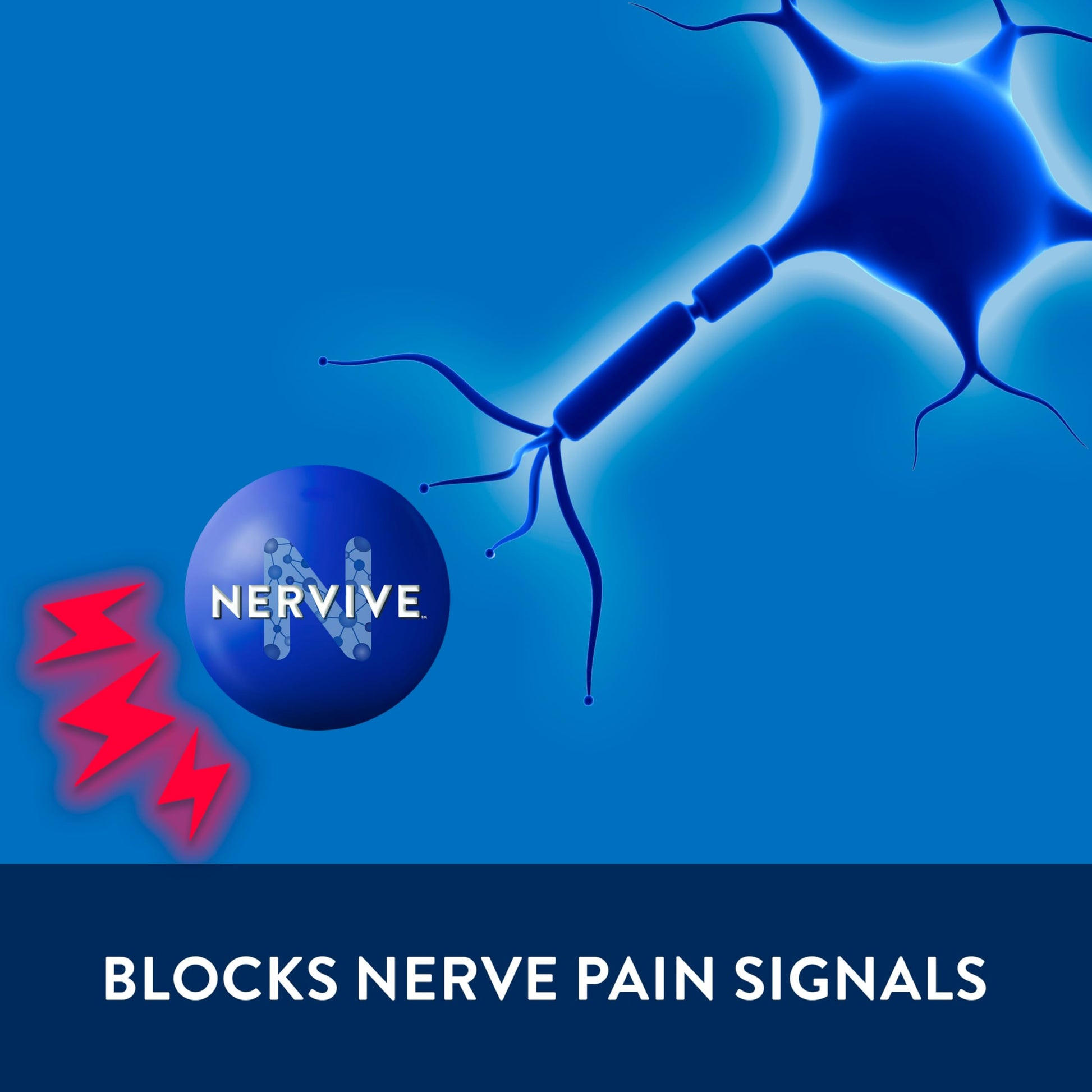 Nervive Pain Relieving Cream, Max Strength Non-Greasy Topical Pain Reliever with Lidocaine and Menthol for Toes, Feet, Fingers, Hands, Legs & Arms, 3.0oz Nervive buy supplements canada