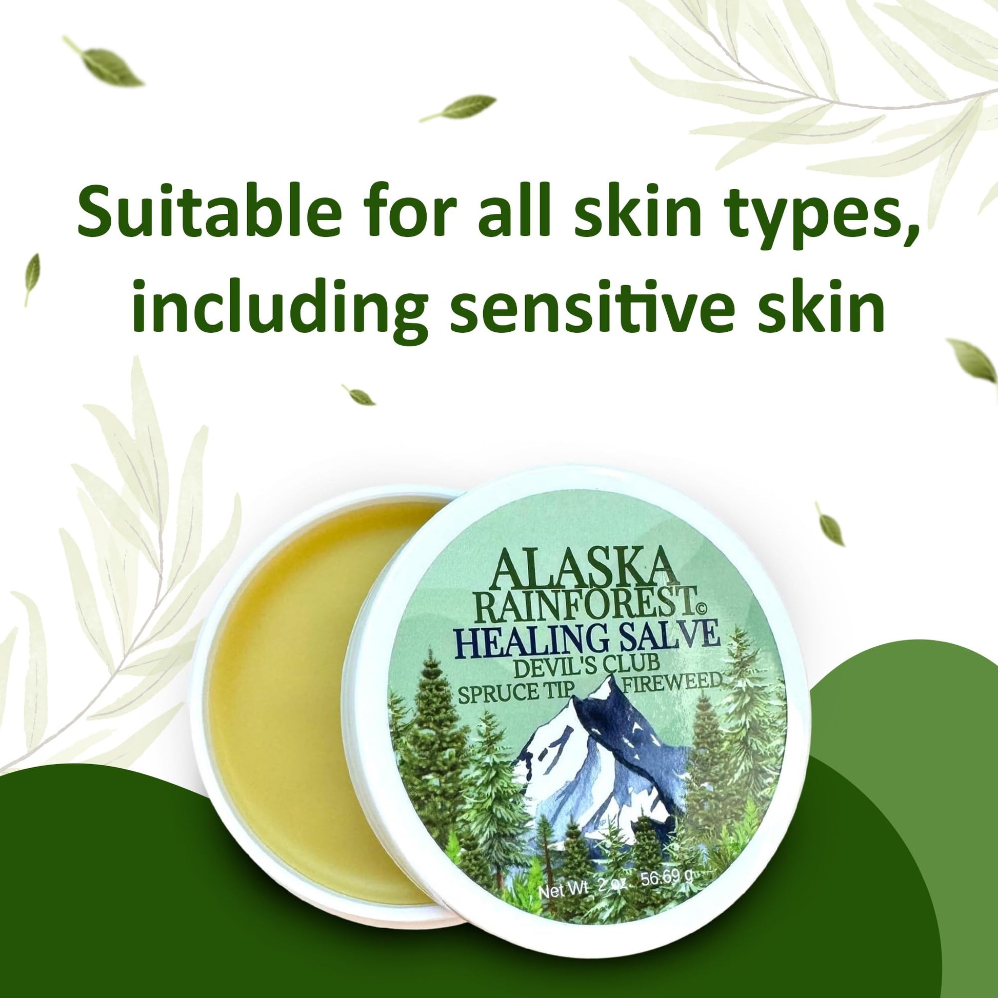 Snowy Summit Alaska Rainforest Salve - Herbal Salve for Dry Skin & Joint Relief - Natural Super Salve for Soothing Skin with Gentle Aroma - Body & Hand Salve - Muscle Rub with Alaskan Devil’s Club Oil Snowy Summit buy supplements canada