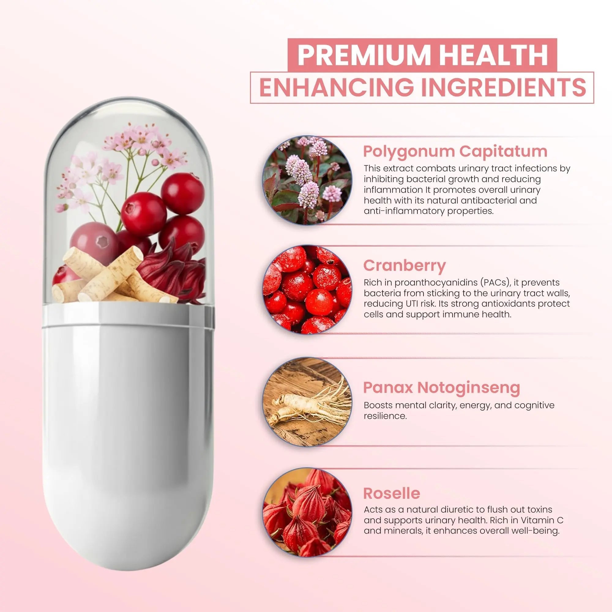 ZEN LIFE HERB UTFREx – Fast Acting - Promotes Urinary Tract Health Supports Healthy Immune and Urinary System, No Vitamins, Minerals, Prebiotics, Sugar, Plant-Based Supplement (60 Capsules) ZEN LIFE HERB buy supplements canada