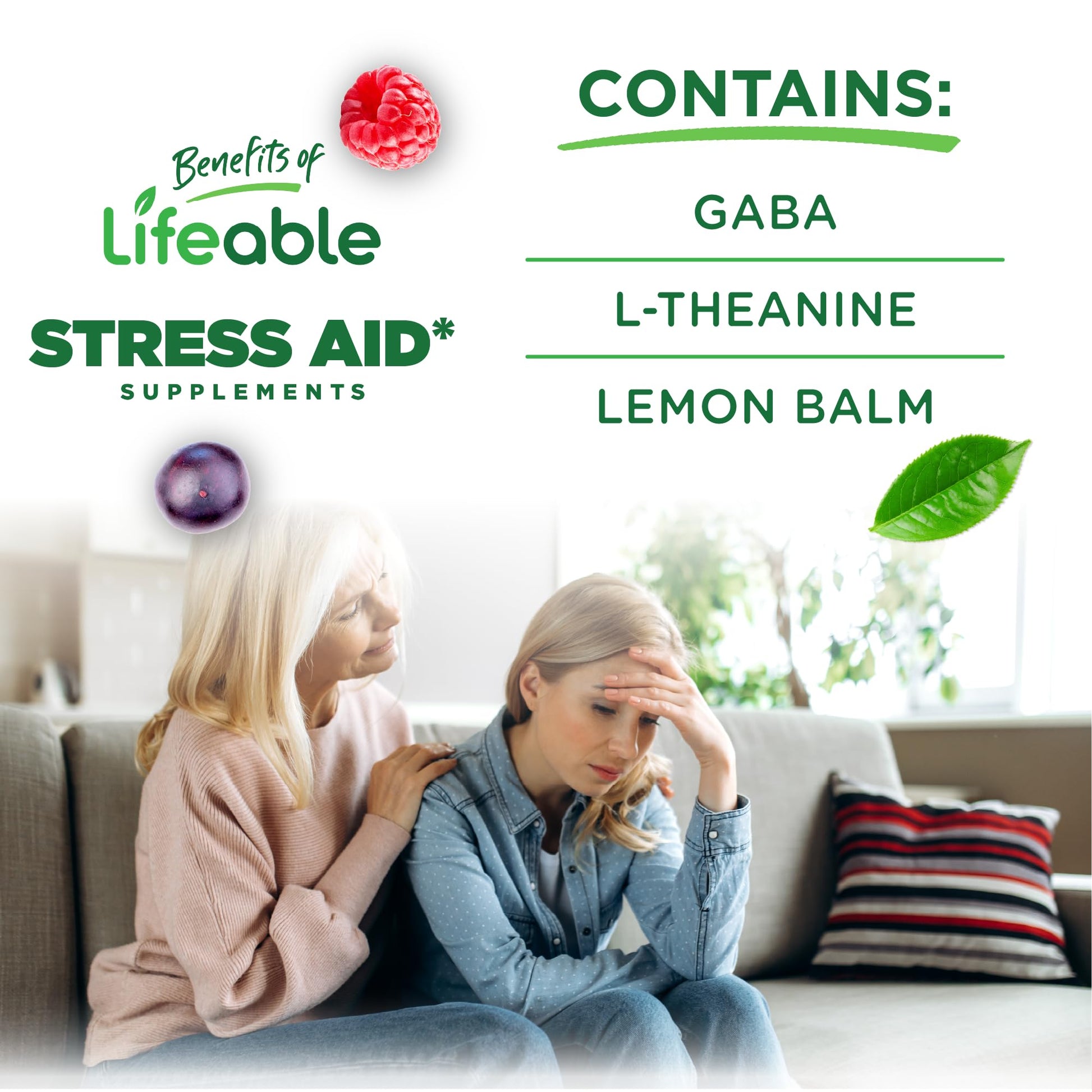 Lifeable Stress Aid Gummies for Teens | with Lemon Balm, GABA and L Theanine Supplements | Vegan Non GMO Mood Support Supplement | Great Tasing Stress Vitamins | L-Theanine for Teen | 90 Gummies Lifeable buy supplements canada