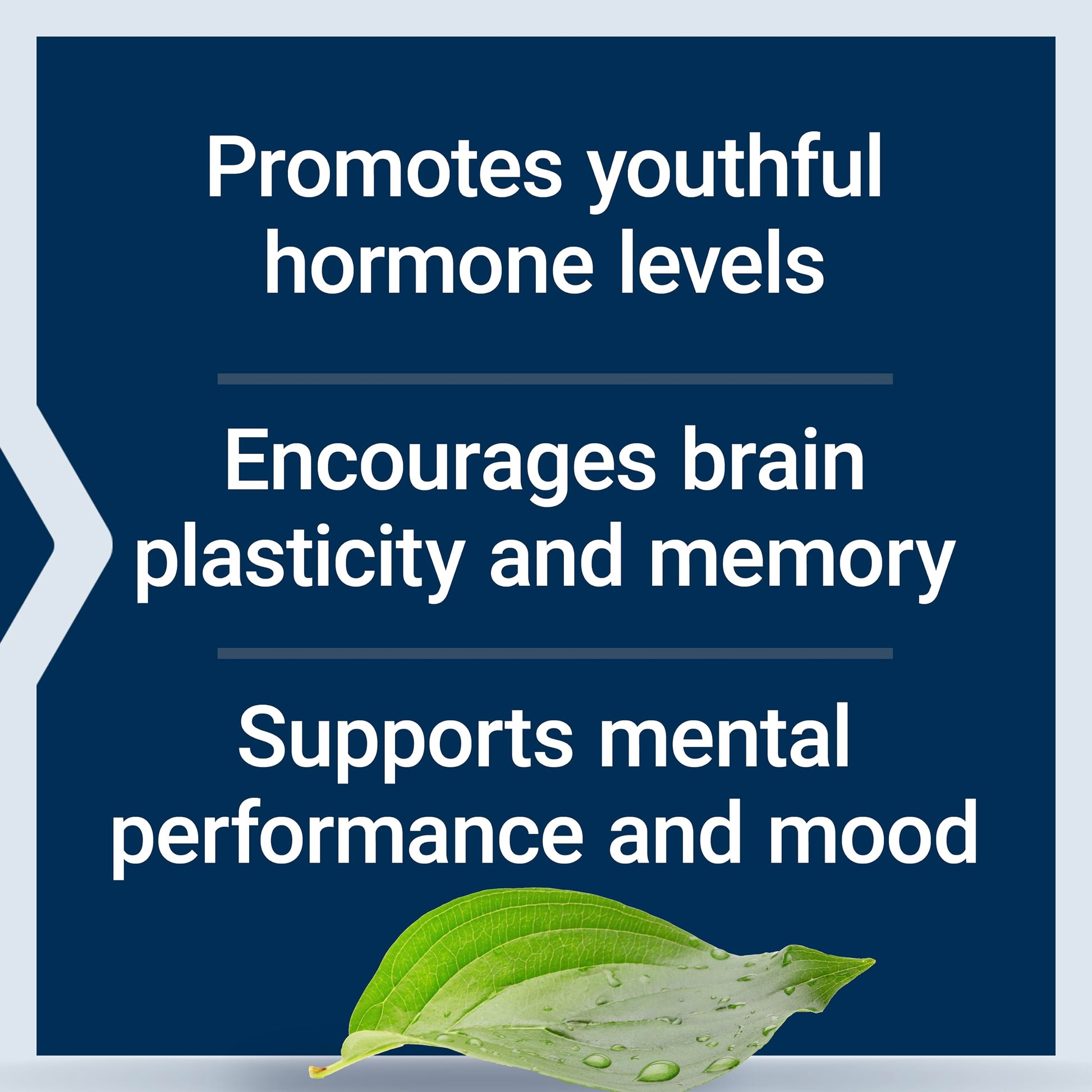 Life Extension Pregnenolone - Hormone Balance Supplement for Healthy Hormone Levels, 100 mg - Hormone Balance, Memory, Focus, Cognitive Health - Gluten-Free, Non-GMO, 100 Capsules Life Extension buy supplements canada