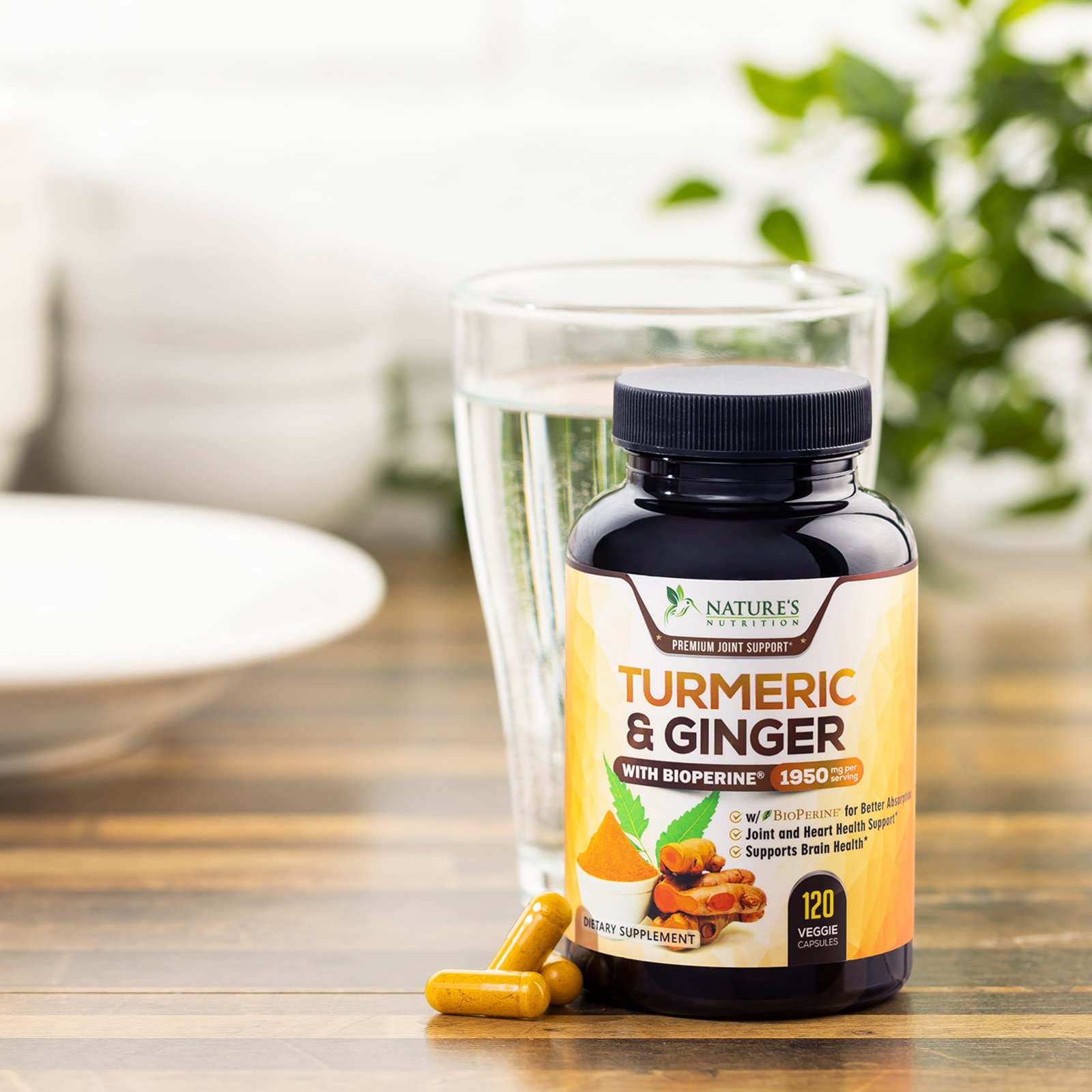 Turmeric Curcumin with BioPerine & Ginger 95% Standardized Curcuminoids Nature's Nutrition buy supplements canada