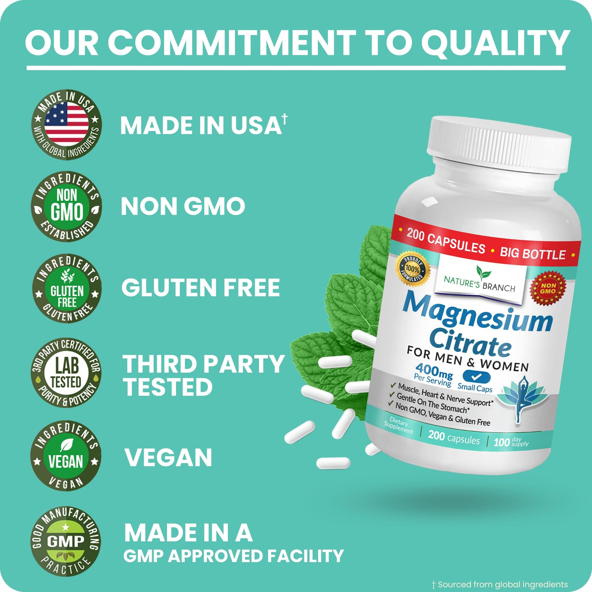 Magnesium Citrate 400mg | 200 Capsules, High Absorption for Sleep, Relax, Leg Cramps, Energy, Extra Strength Easy to Swallow Small Pills for Women & Men, Vegan Supplement for Digestion, Not Tablets NATURE'S BRANCH buy supplements canada