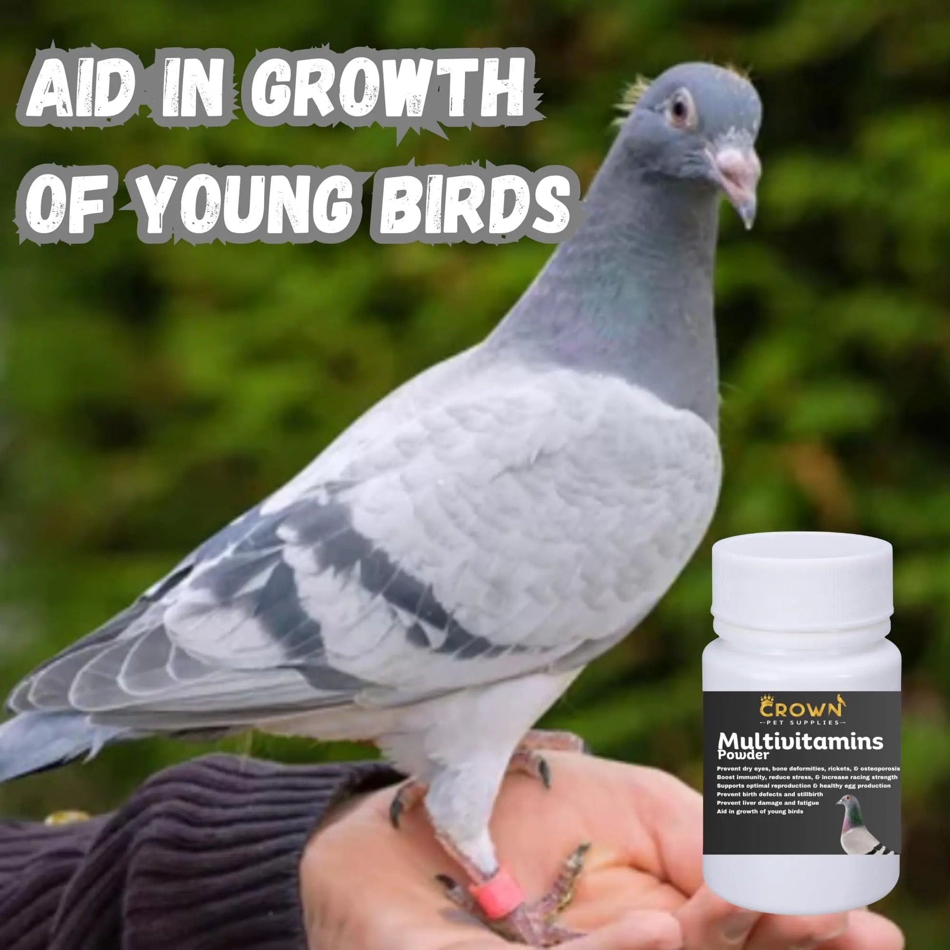 Multivitamin Powder for Pigeons – Ultimate Vitamin Formula for Racing & Breeding – Supports Growth, Bone Strength, Reproductive Health & Feather Health Crown Pet Supplies buy supplements canada
