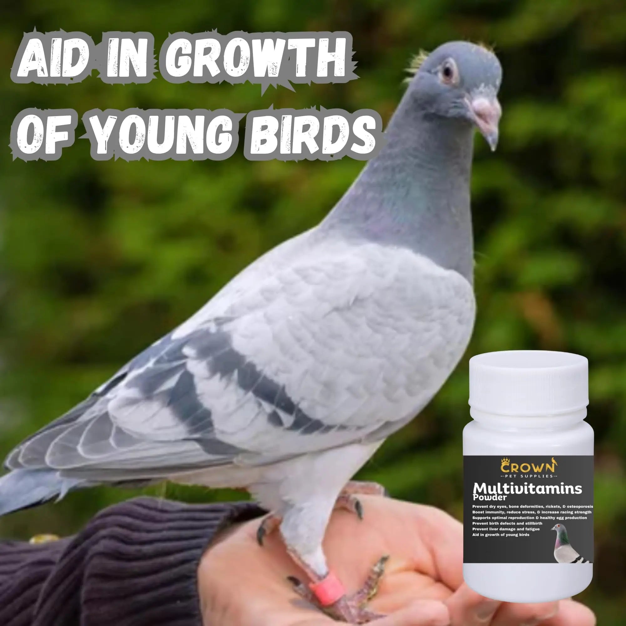 Multivitamin Powder for Pigeons – Ultimate Vitamin Formula for Racing & Breeding – Supports Growth, Bone Strength, Reproductive Health & Feather Health Crown Pet Supplies buy supplements canada