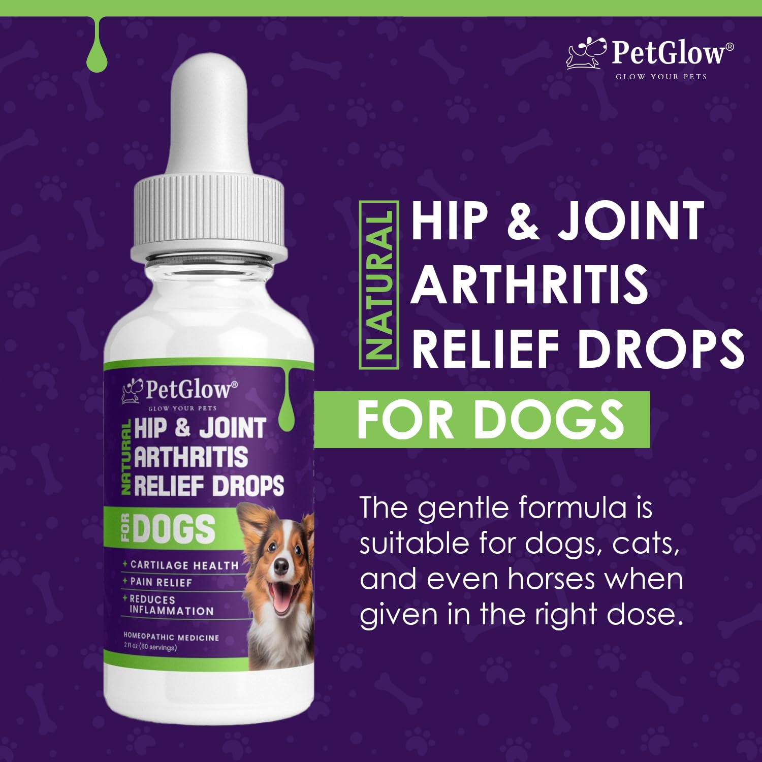 Petglow® Natural Hip & Joint Arthritis Relief Drops with Curcumin & Boswellia, Homeopathic Anti-Inflammatory Formula for Dogs, Cats & Horses, Supports Flexibility, Comfort & Mobility Naturally Petglow buy supplements canada