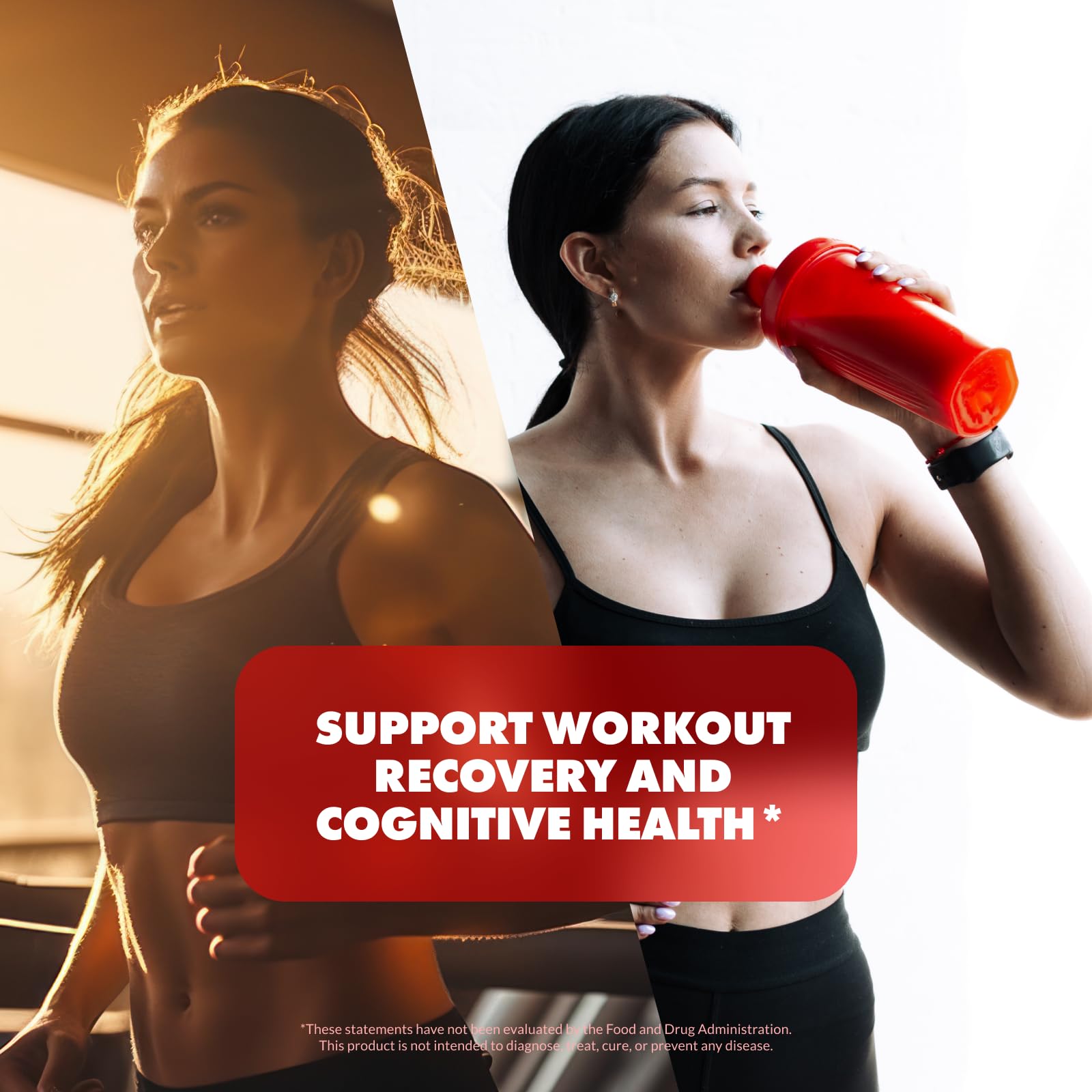 Sculpt Nation by V Shred Creatine - Premium Creatine Monohydrate Powder Sculpt Nation buy supplements canada