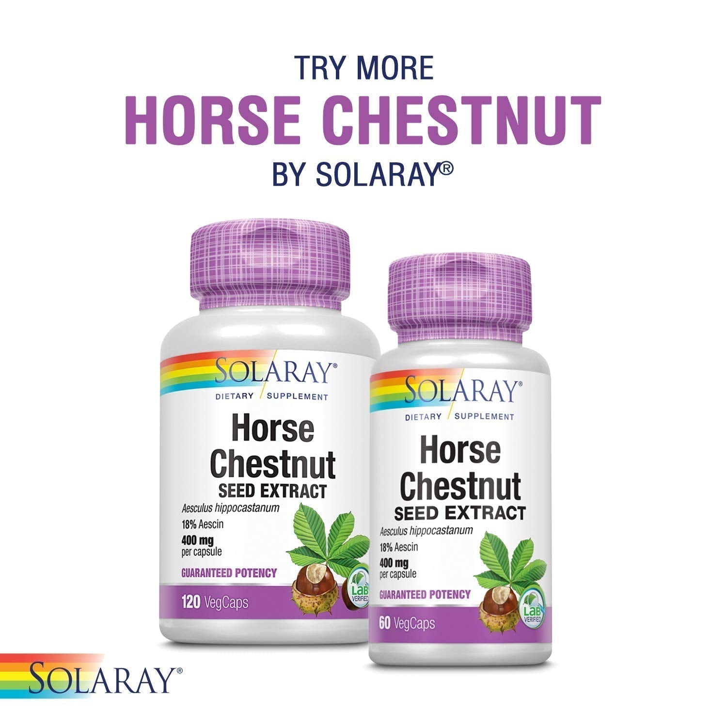 SOLARAY Circulegs - Herbal Supplements for Wellness Support w/Horse Chestnut Extract and Vitamin C, Plus Gotu Kola, Flavonoids, Hesperidin Blend - Vegan, Gluten Free, 60-Day Guarantee - 30 Servings SOLARAY buy supplements canada