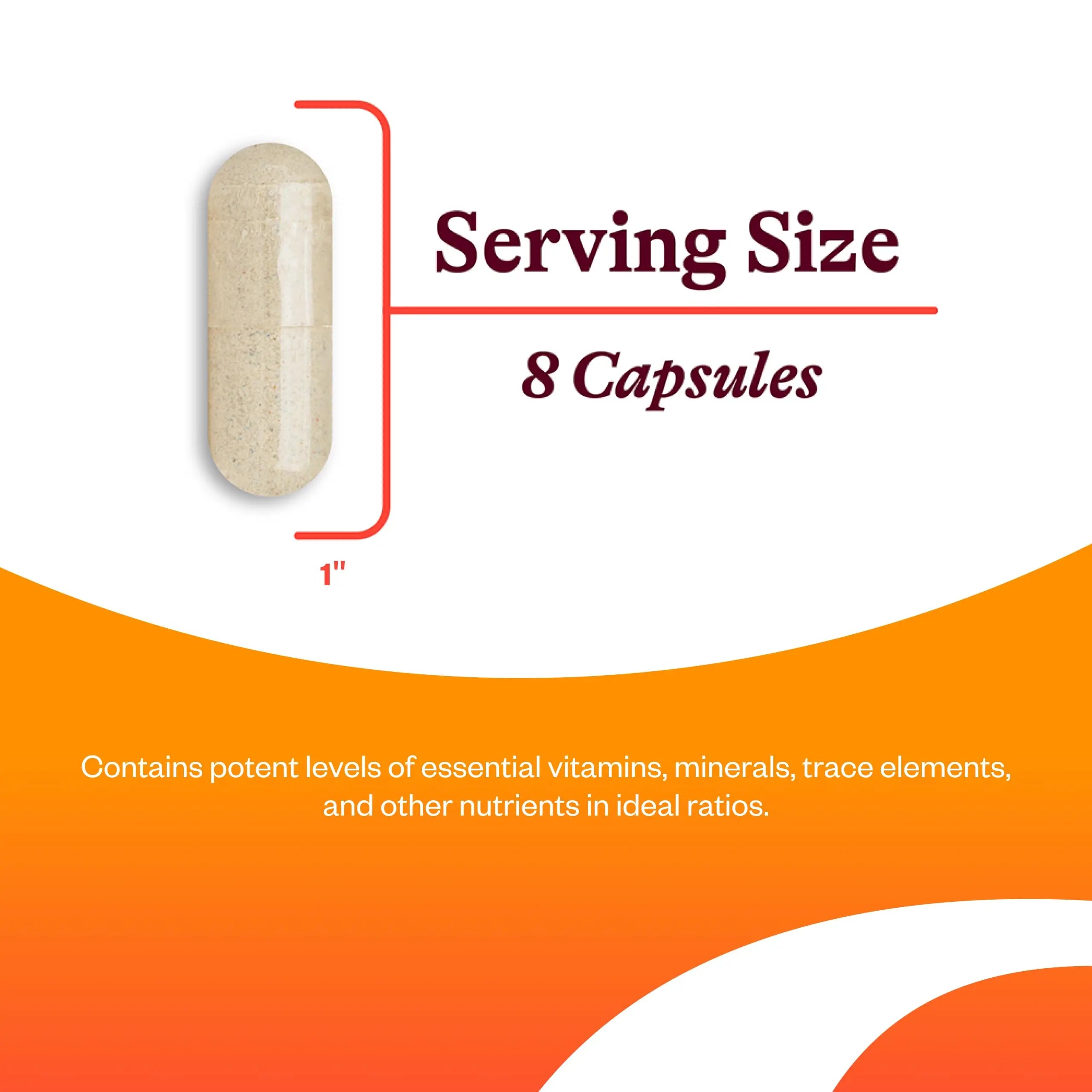 Seeking Health Optimal Multivitamin, Active B Vitamins and L-5-MTHF, Riboflavin, B6, Bioavailable Folate and B12, CoQ10 Seeking Health buy supplements canada