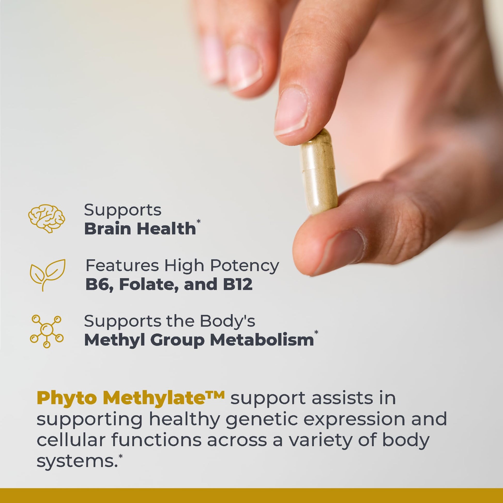 Premier Research Labs Phyto Methylate - B Vitamin Supplement - Supports Methylation, Detox, Brain & Heart Health - 5-MTHF & P5P - 60 Plant-Source Capsules Premier Research Labs buy supplements canada