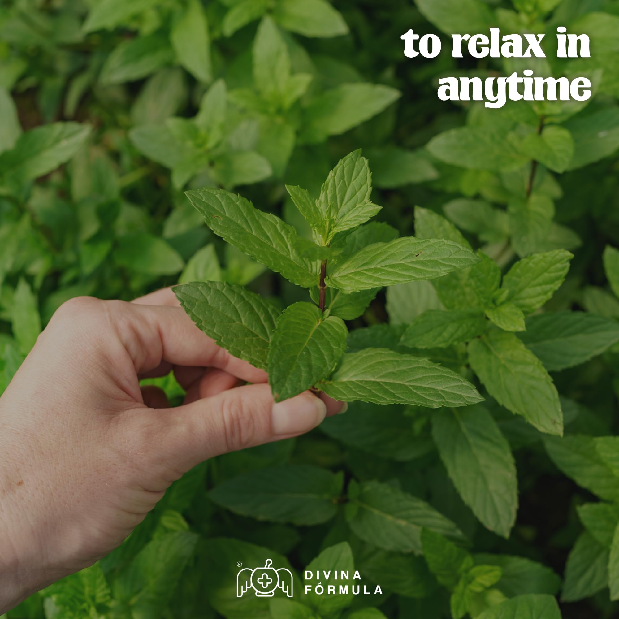 Divina Fórmula - 100% Pure Peppermint Essential Oil - Aromatherapy Oils, Essential Oils - Oil for Massage Divina FÓrmula buy supplements canada