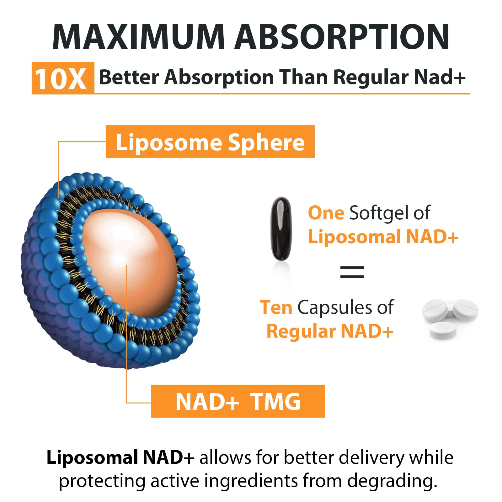 Orgabay Liposomal NAD+ Supplement 500 mg, High Absorption, Boost NAD+ with TMG 250 mg, Actual NAD Plus More Efficient Than Nicotinamide Riboside, Support Cellular Energy, Healthy Aging | 240 Softgels Orgabay buy supplements canada
