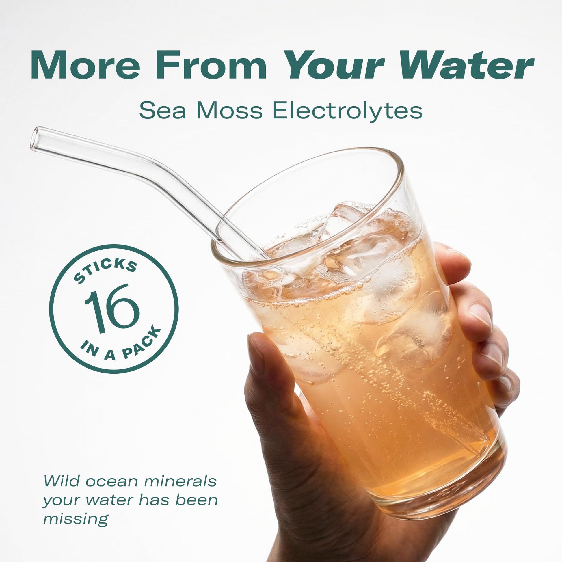 TrueSeaMoss Electrolytes Powder Packets – Made in USA – 16 Stickpacks – Hydration Powder with Sea Moss with Potassium – No Sugar Drinks – Variety Pack TrueSeaMoss buy supplements canada