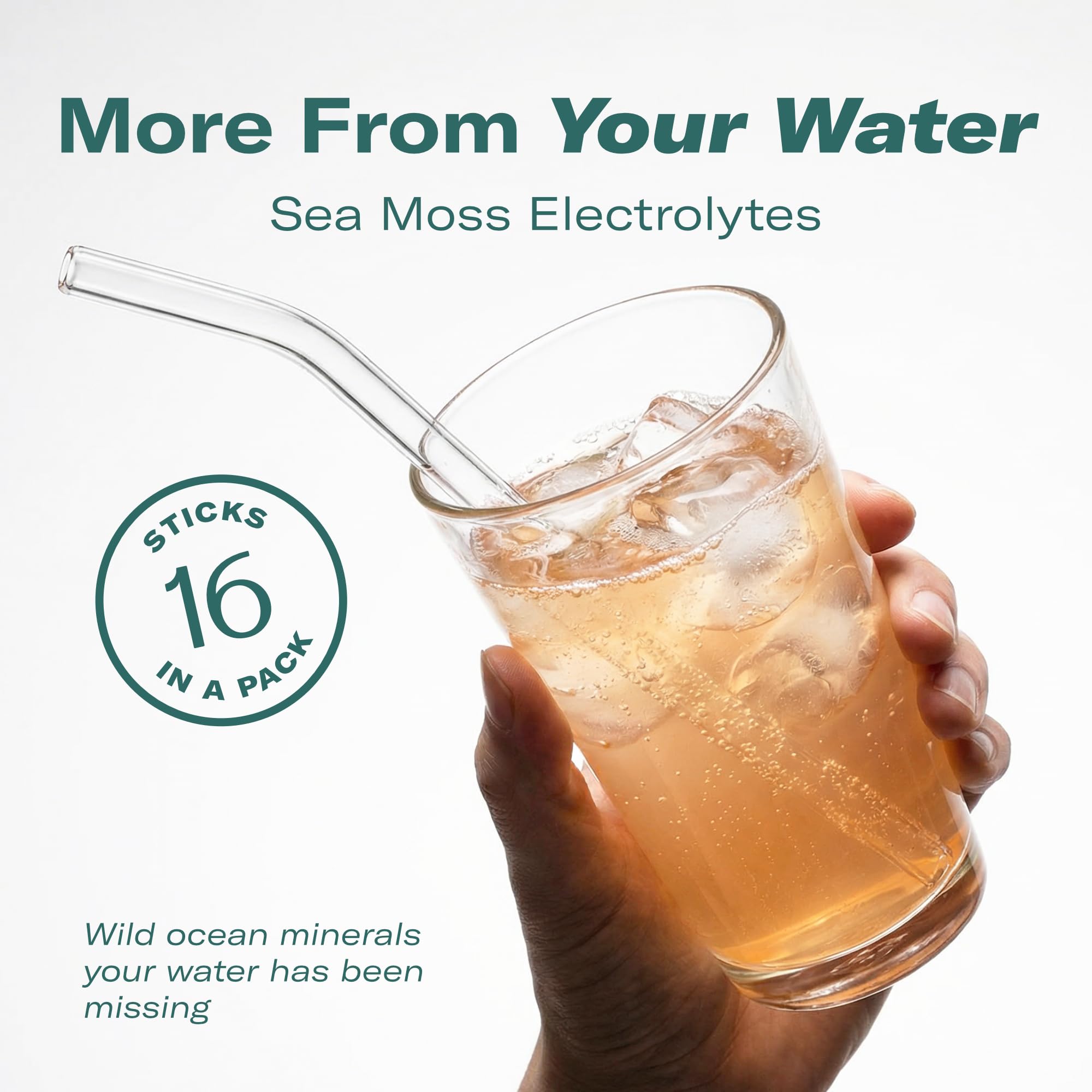 TrueSeaMoss Electrolytes Powder Packets – Made in USA – 16 Stickpacks – Hydration Powder with Sea Moss with Potassium – No Sugar Drinks – Variety Pack TrueSeaMoss buy supplements canada