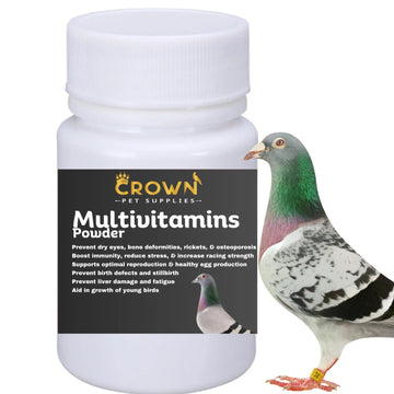 Multivitamin Powder for Pigeons – Ultimate Vitamin Formula for Racing & Breeding – Supports Growth, Bone Strength, Reproductive Health & Feather Health Crown Pet Supplies buy supplements canada